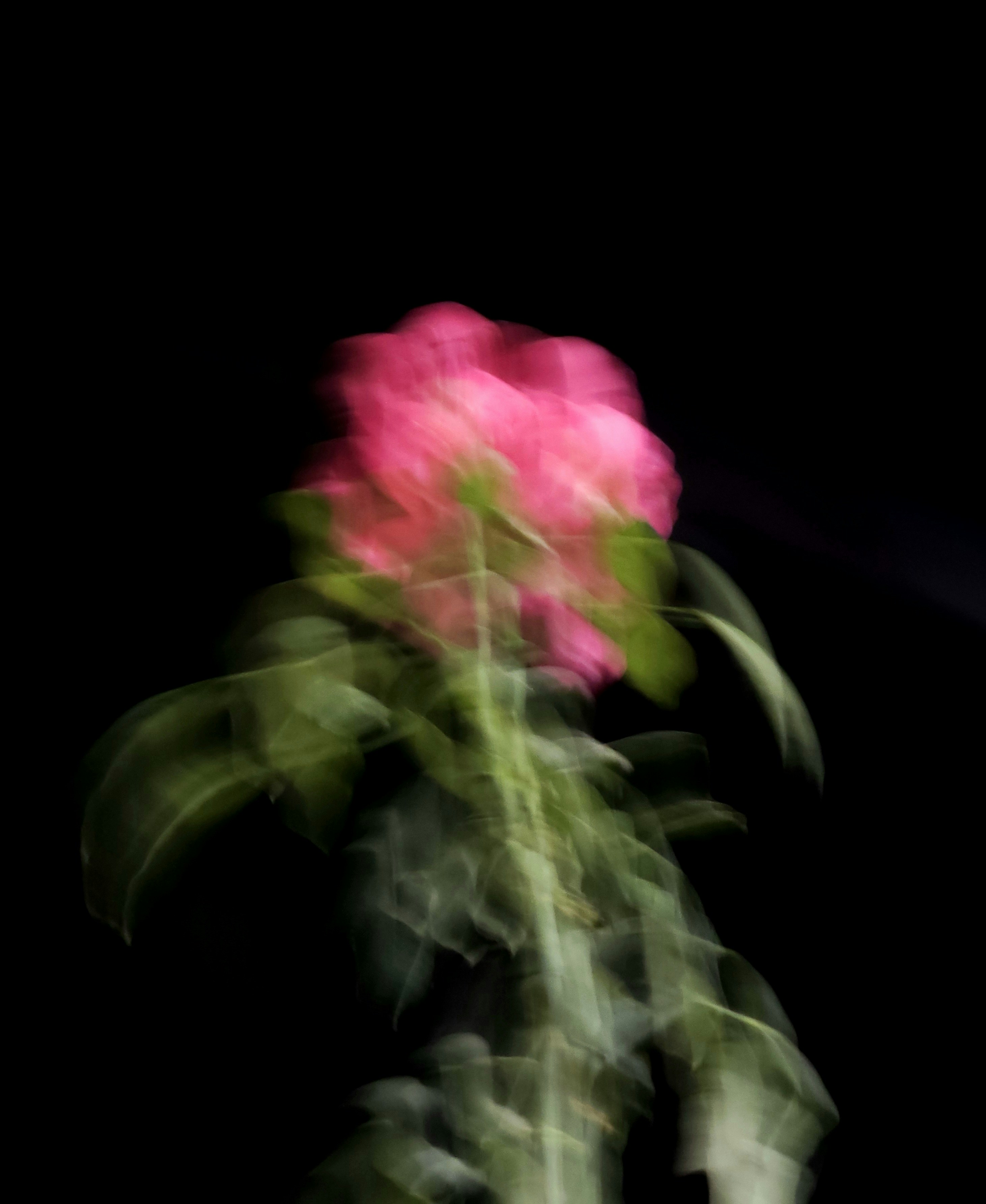 Photo by rc820