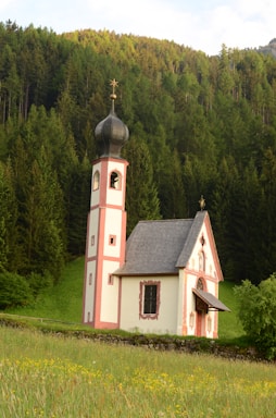A small, traditional church with a distinctive onion-shaped tower roof, set against a lush forest. The building has soft pastel colors with red trim, and white walls. The surrounding landscape includes a meadow with wildflowers and a dense backdrop of green pine trees under a clear sky.