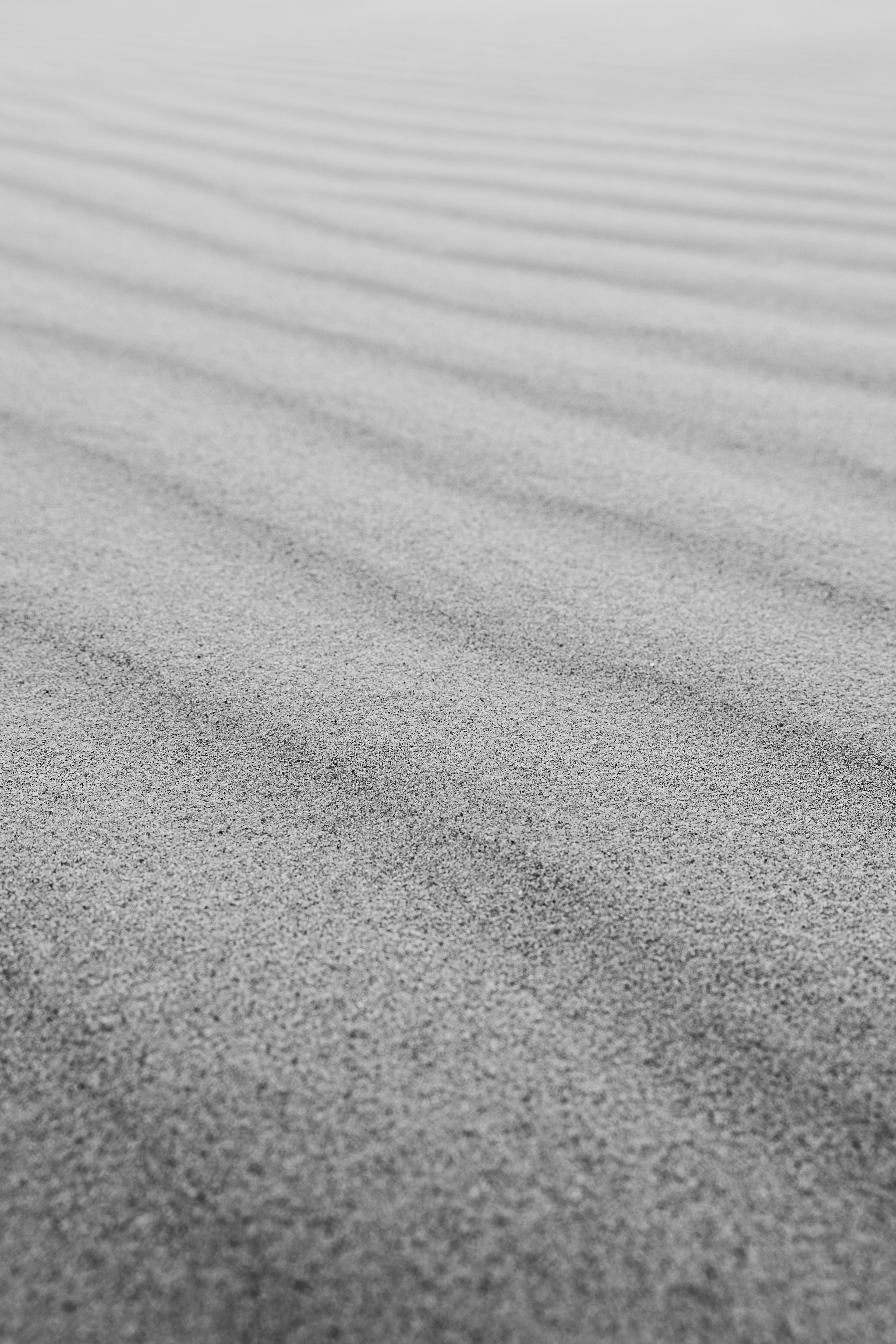 Photo by stefaniejockschat