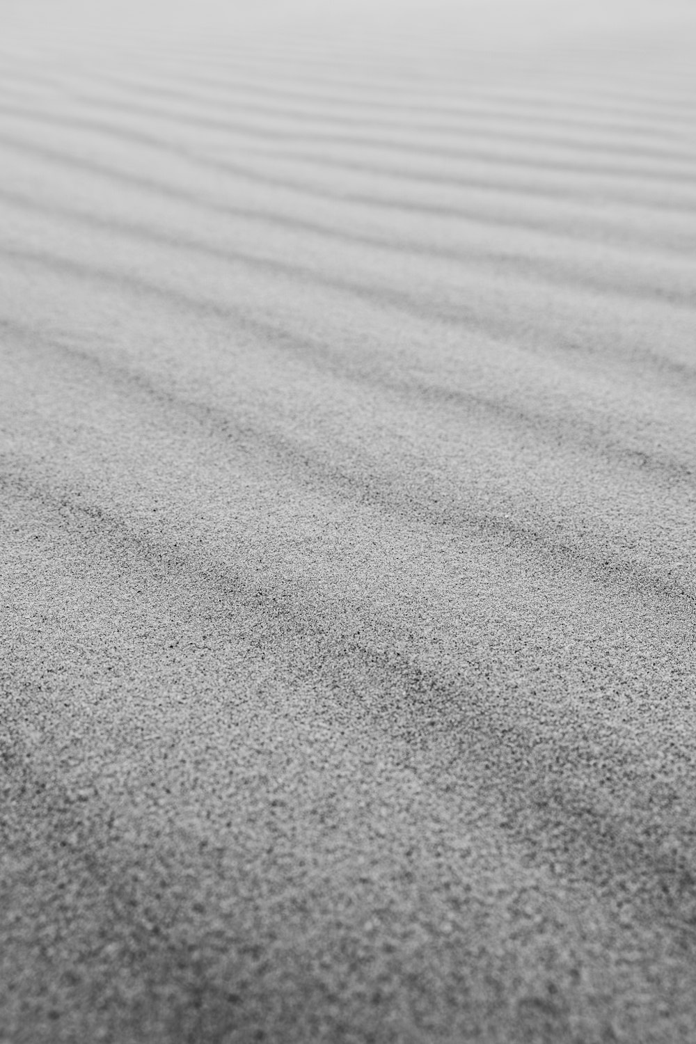 a black and white photo of sand and water