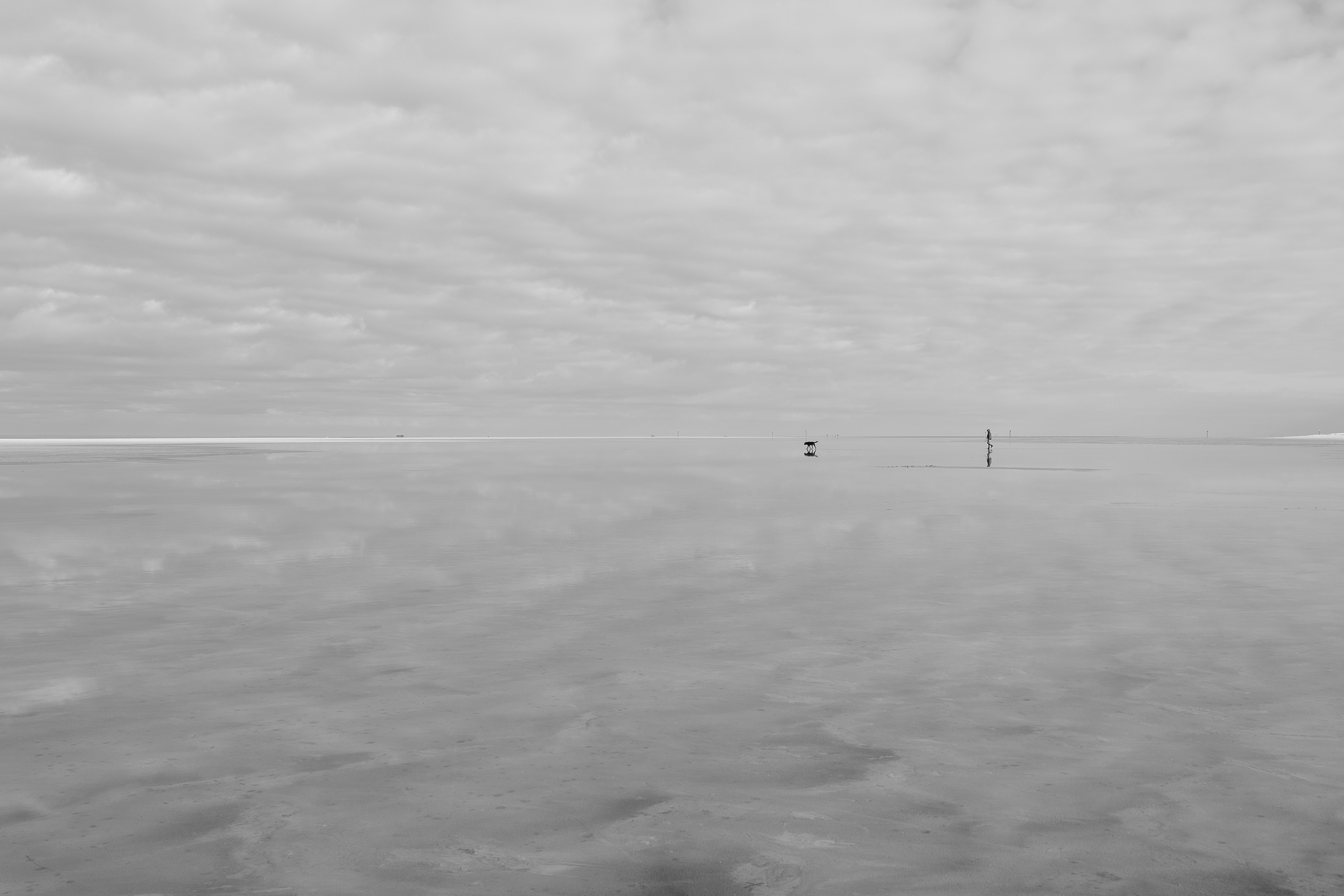 Photo by stefaniejockschat