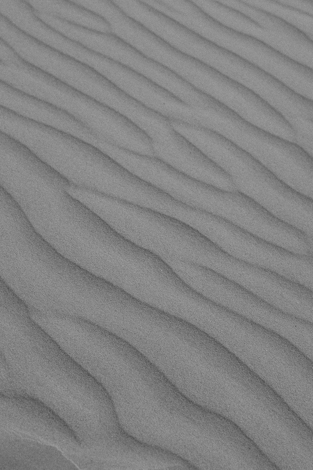 a black and white photo of a sand dune