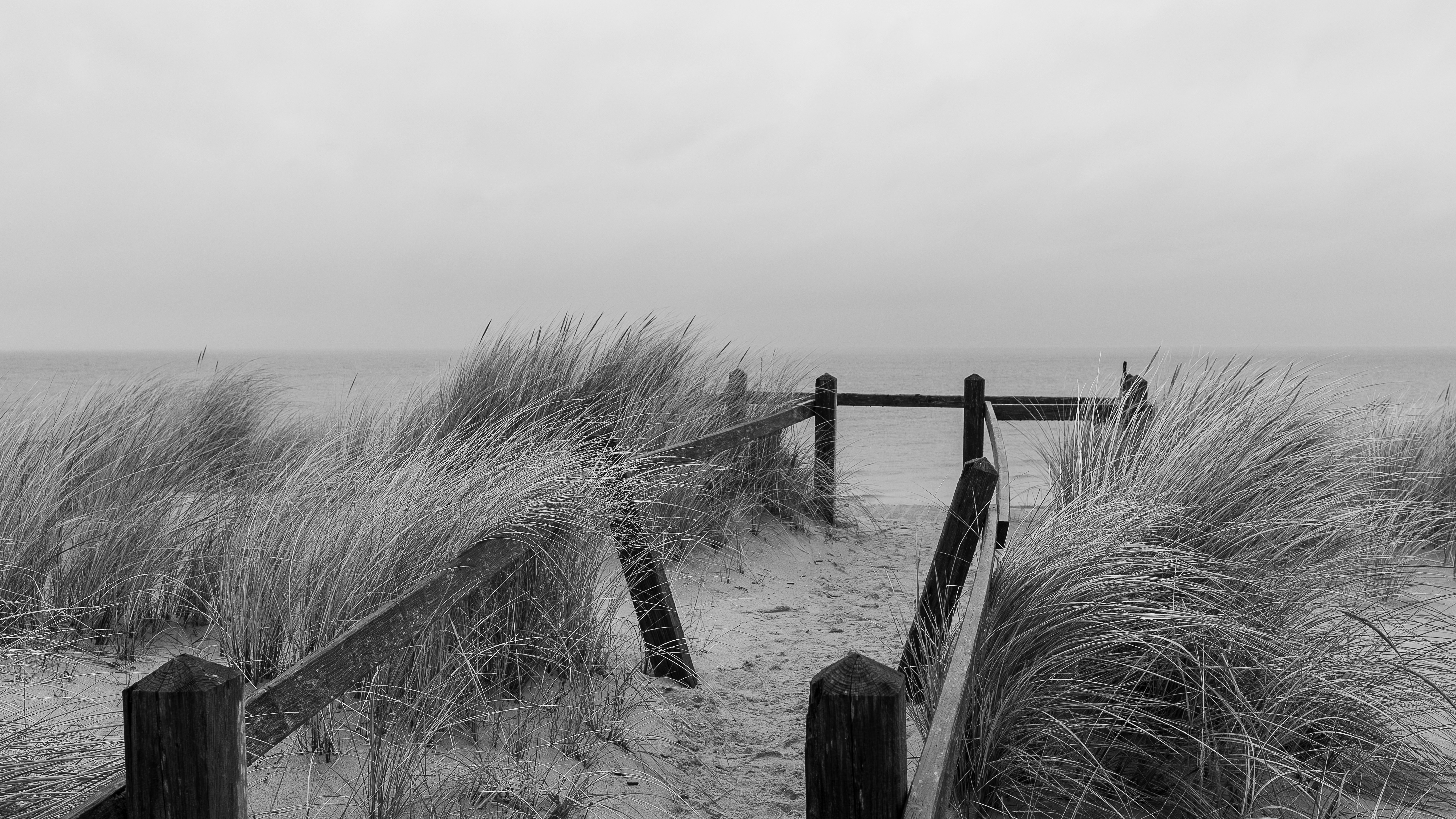 Photo by stefaniejockschat