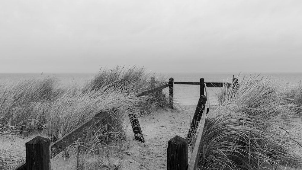 a black and white photo of a path to the beach