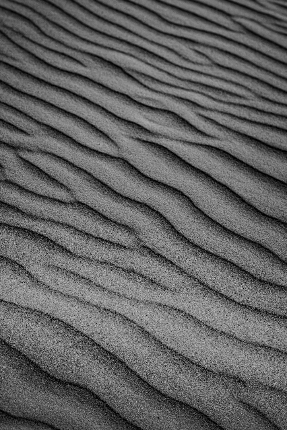 a black and white photo of sand dunes