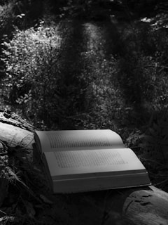 An open book lying on a mossy log with golden sunlight filtering through leaves.