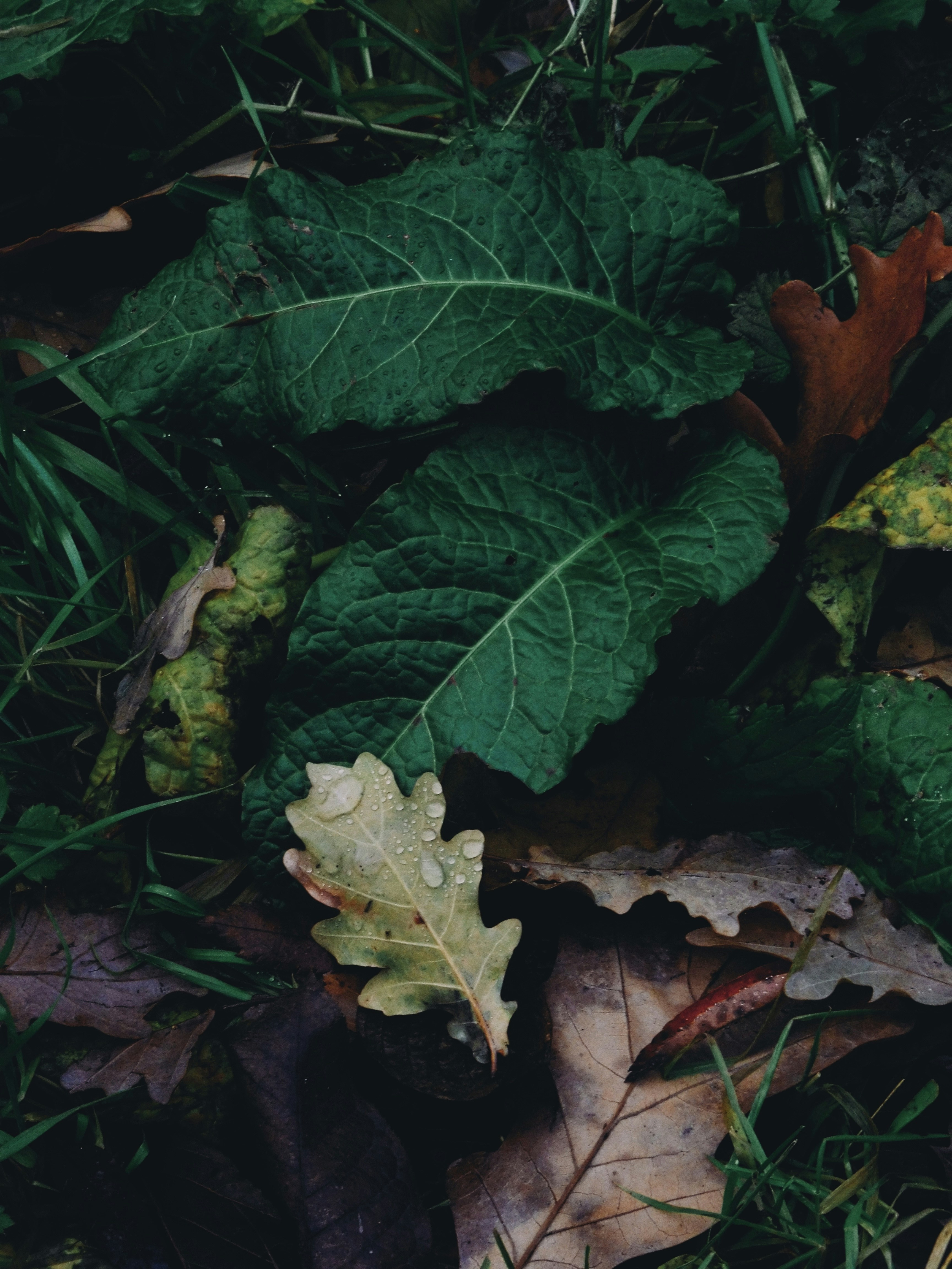 Photo by elena_bocharova