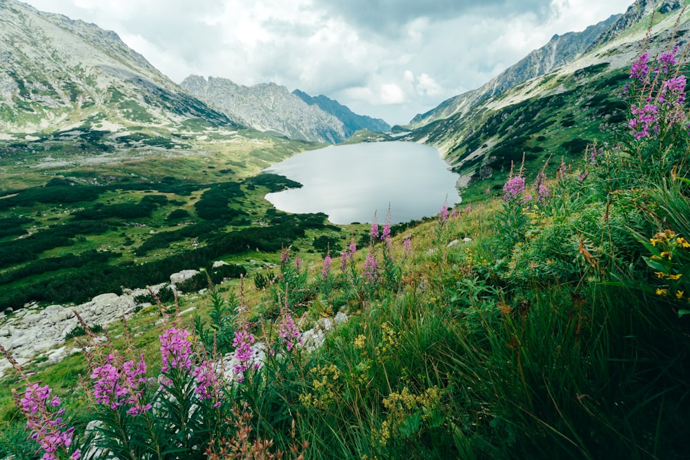 a lake in the middle of a mountain range