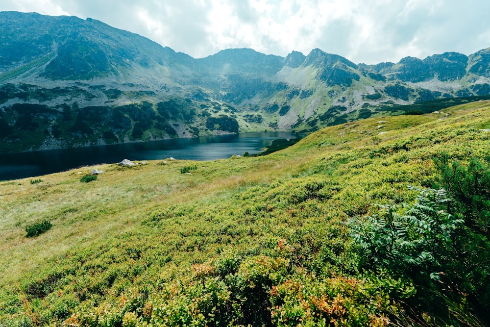 a grassy hill with a body of water in the distance