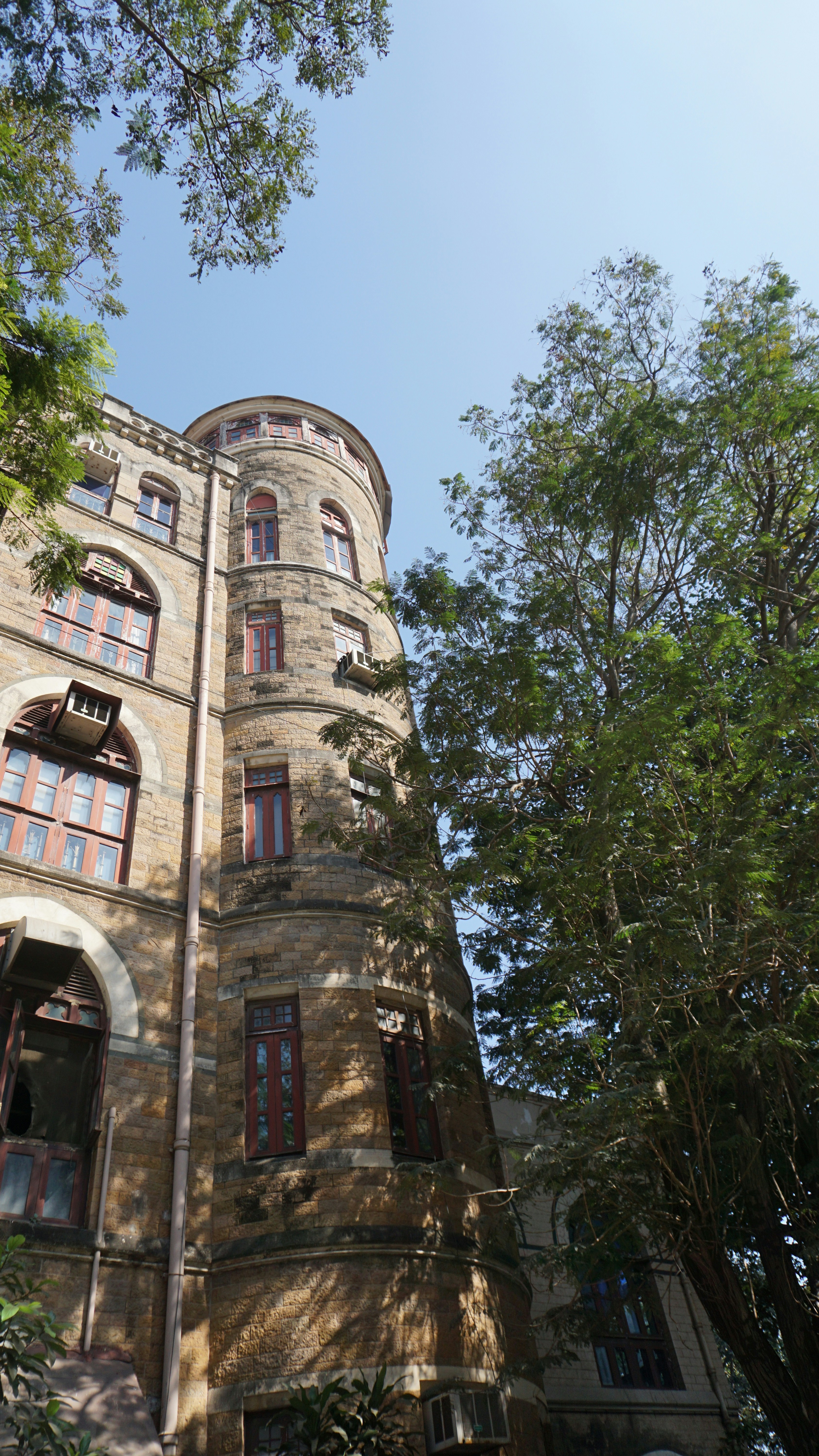 Photo by iamdhavalshah