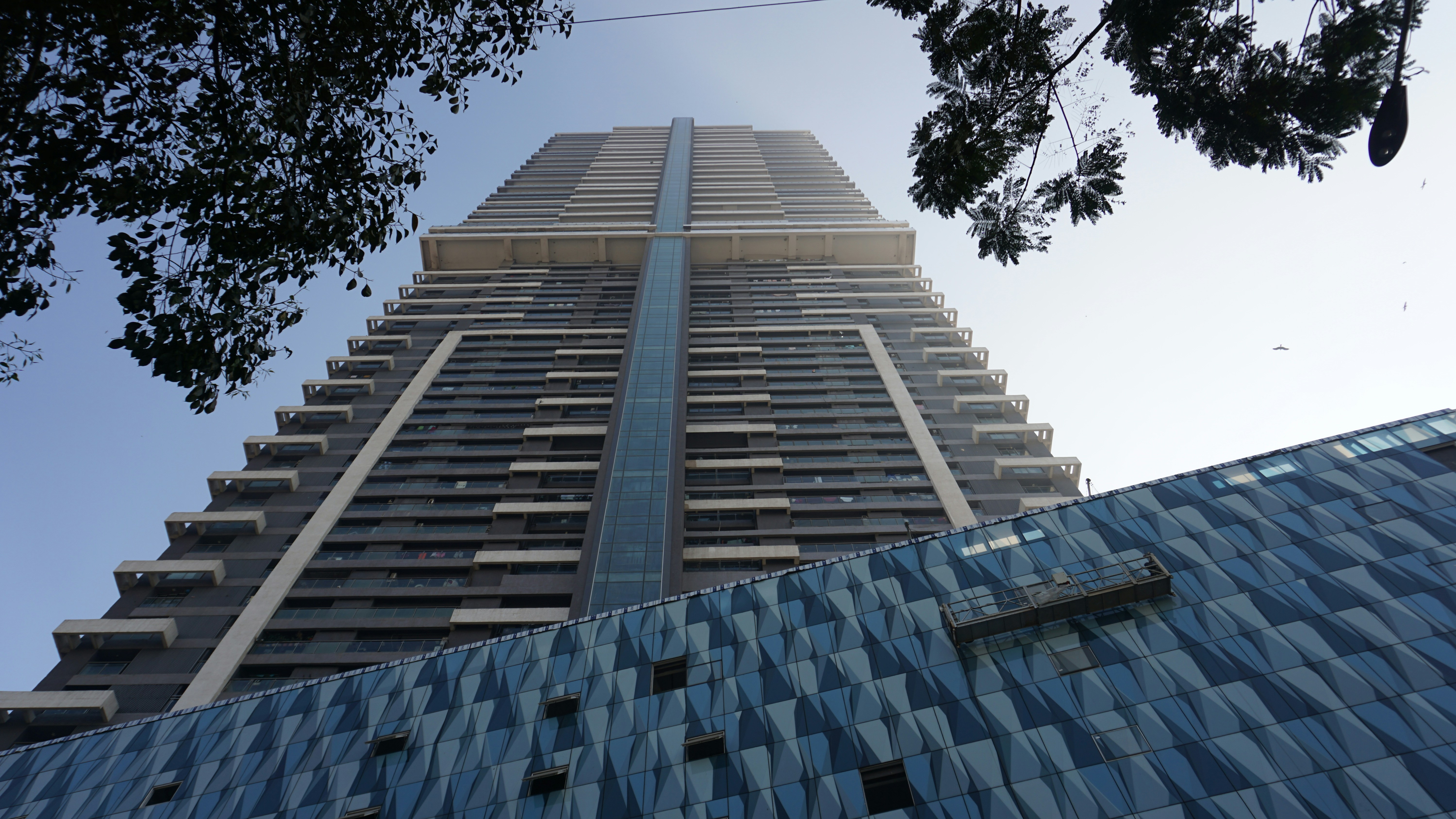 Photo by iamdhavalshah