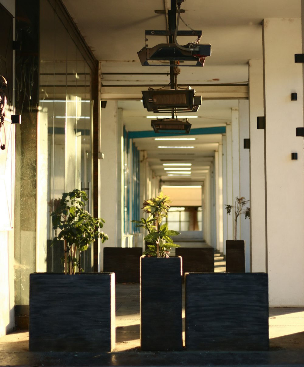 a long hallway with a clock hanging from the ceiling