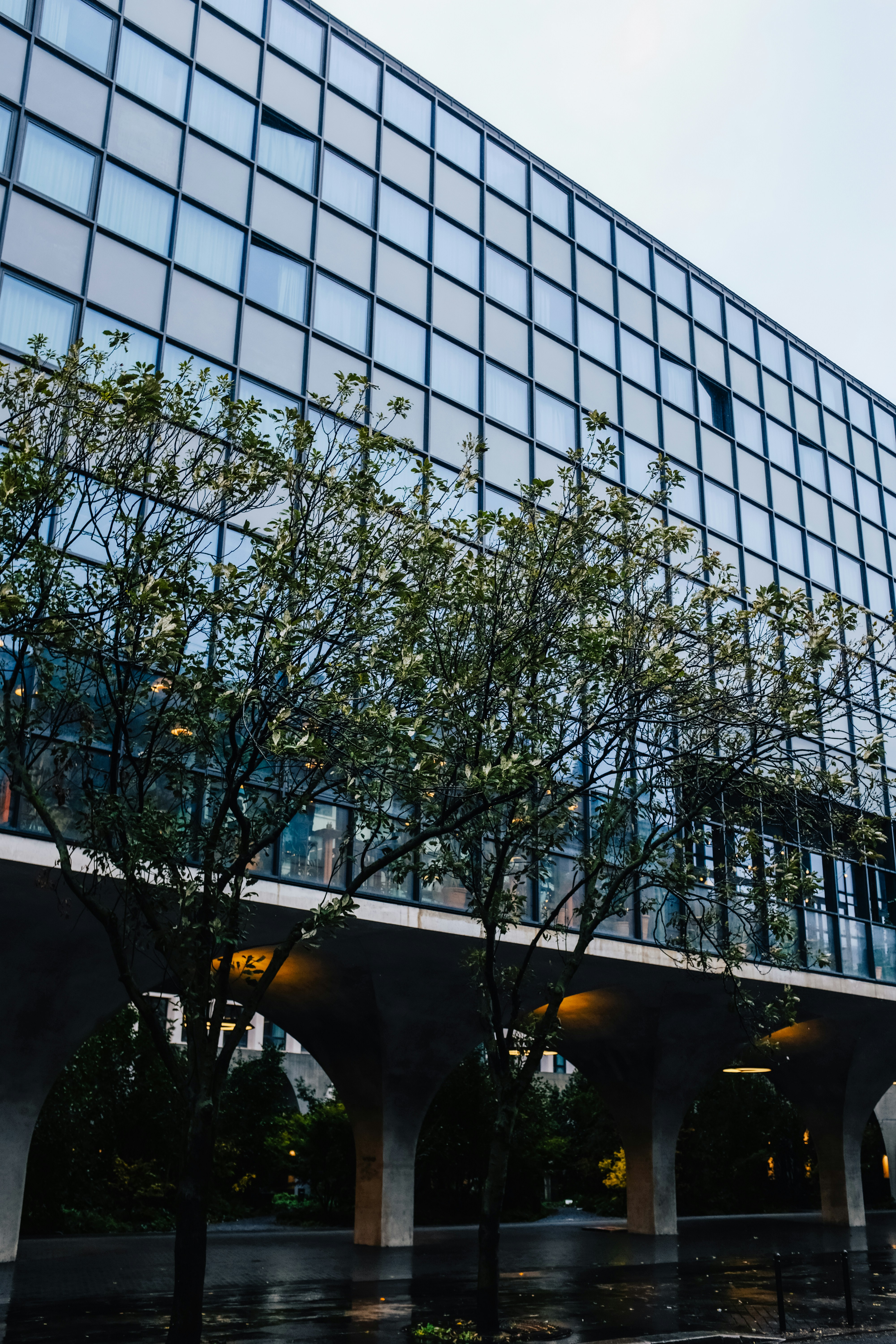 Photo by adrienolichon