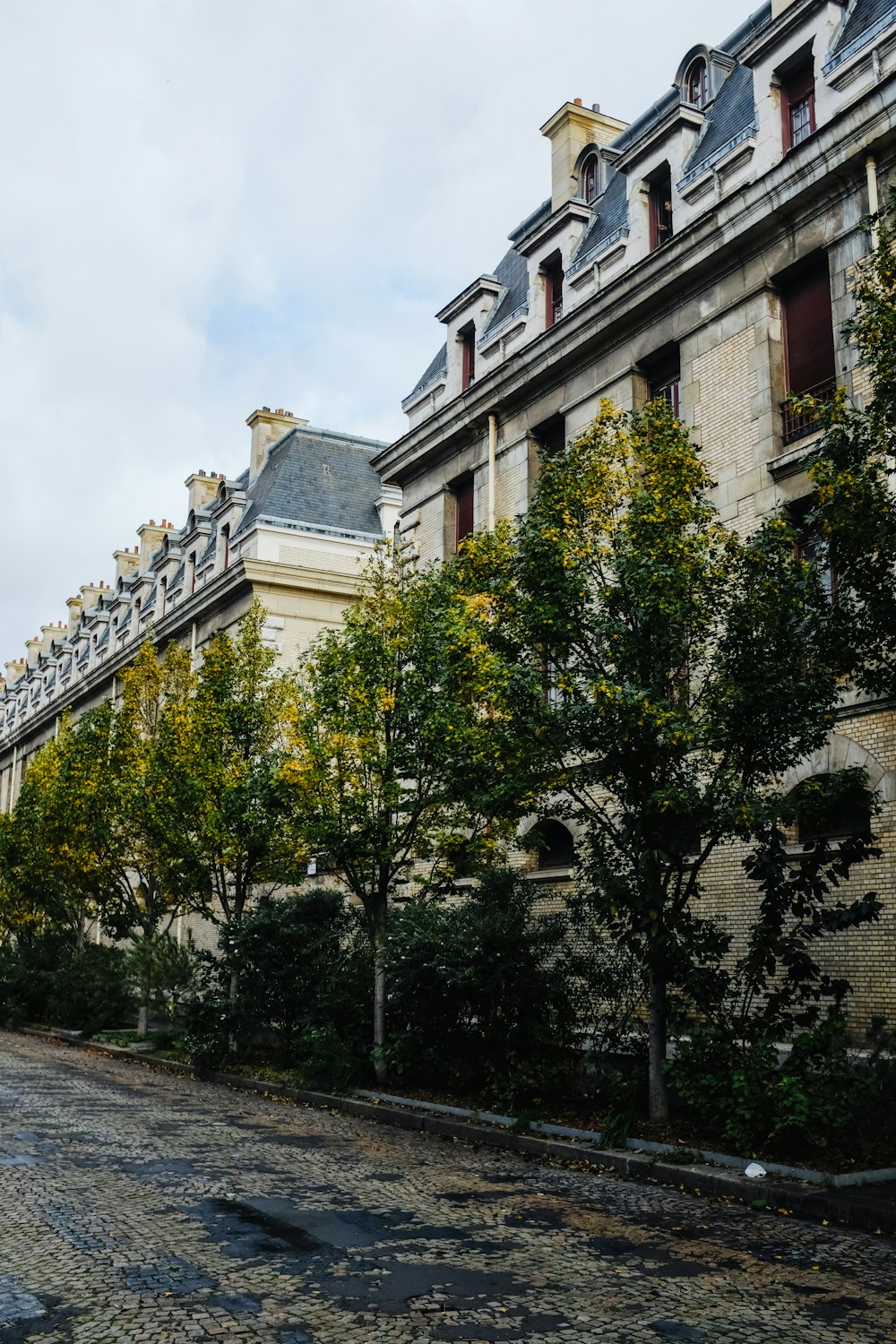 a cobblestone street lined with trees and buildings