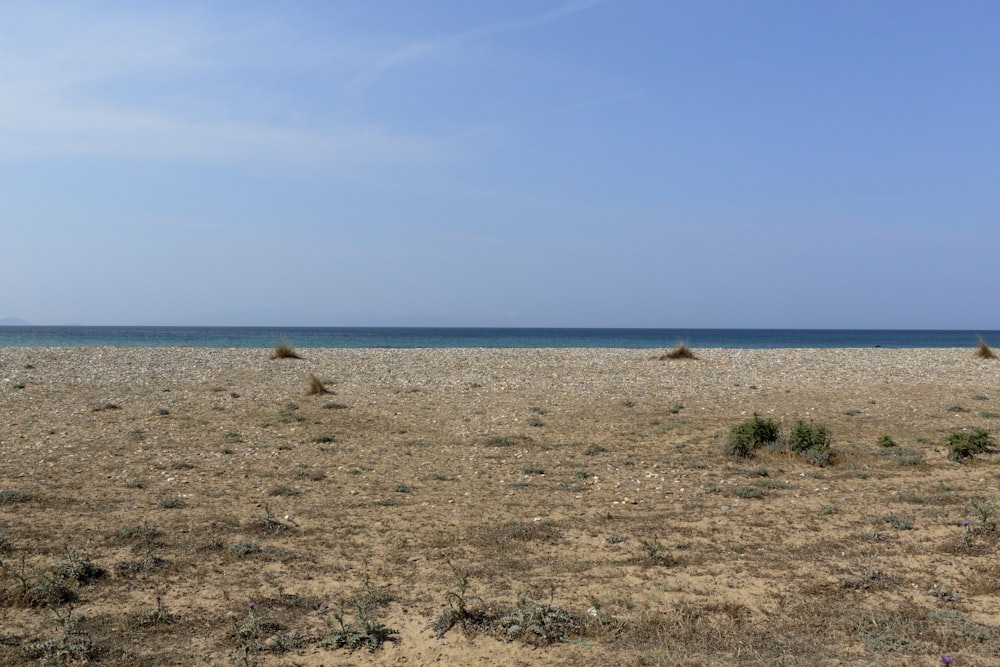 a large open field with a body of water in the distance