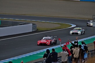 Crowd cheering at a Formula 1 grand prix event with vibrant flags and excitement.