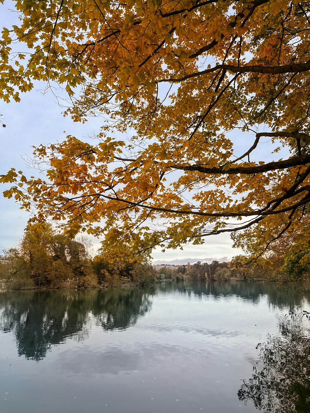 黄色い葉の木々に囲まれた湖
