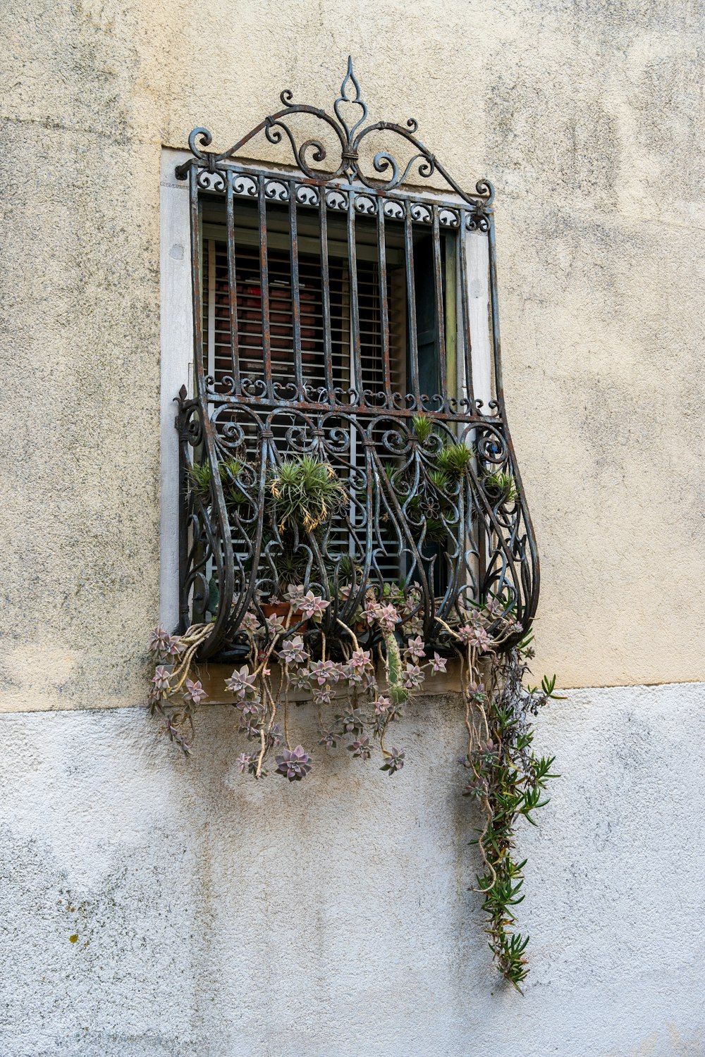 a window with a wrought iron grill and plants growing on it