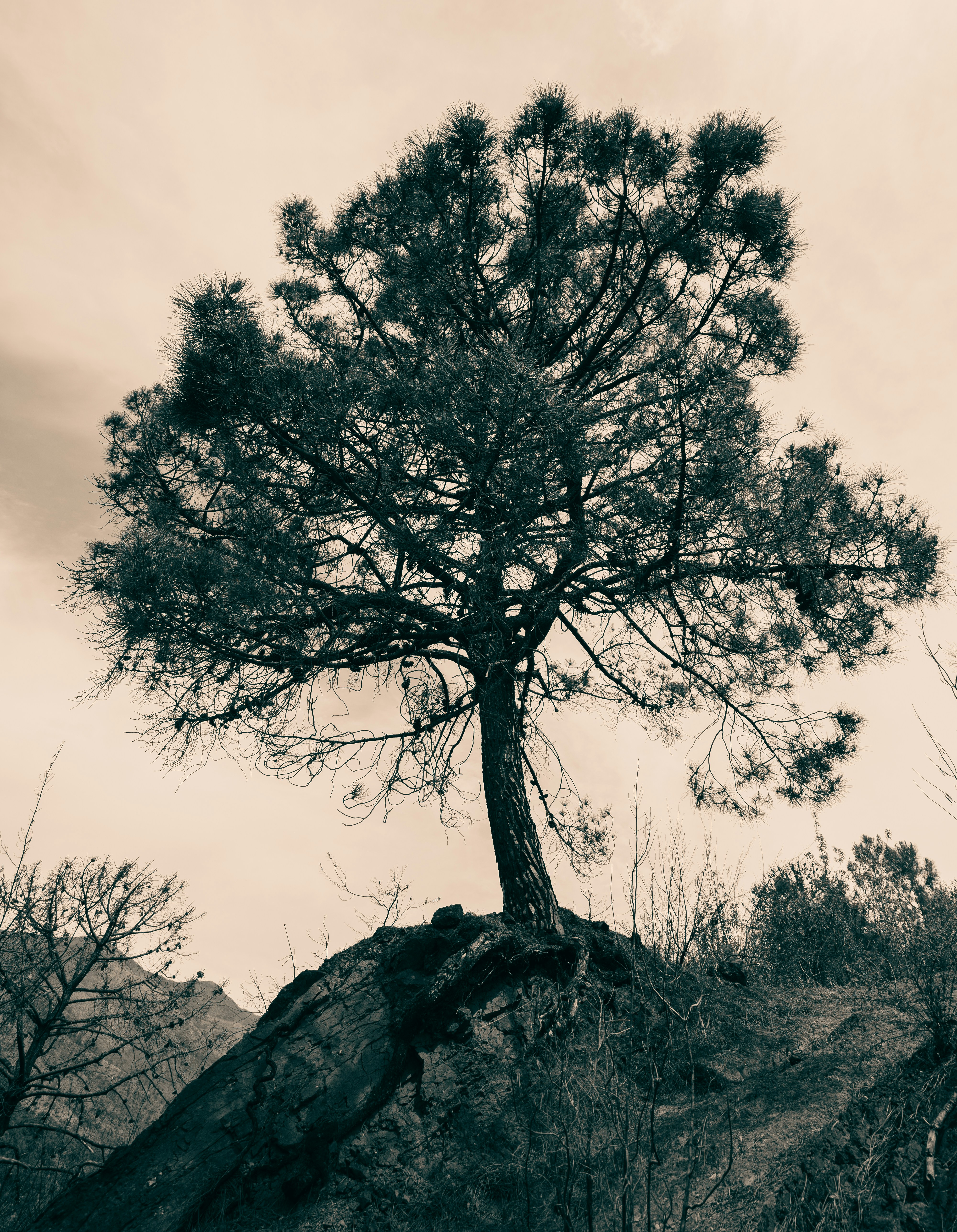 Photo by borjaverbena