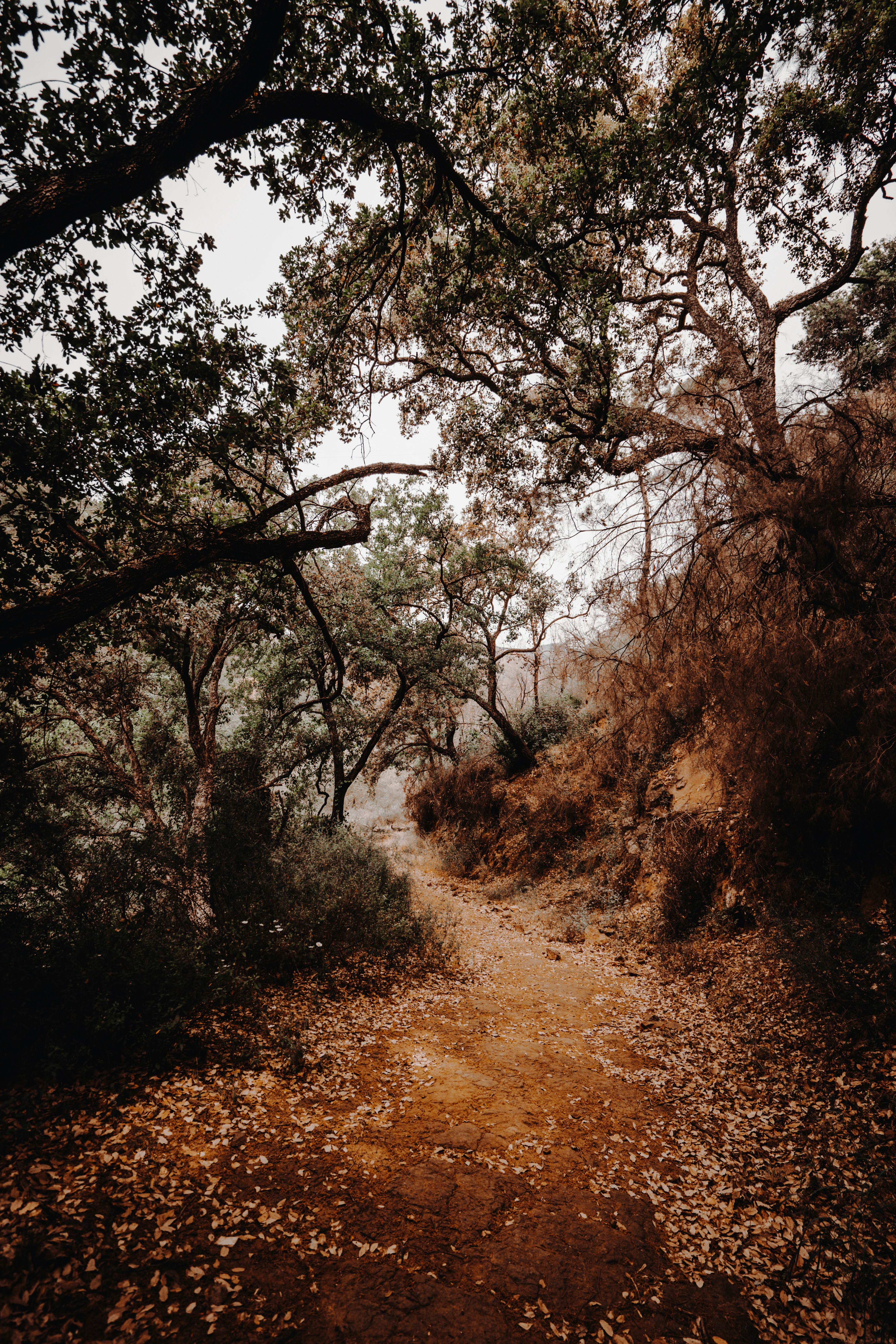 Photo by borjaverbena