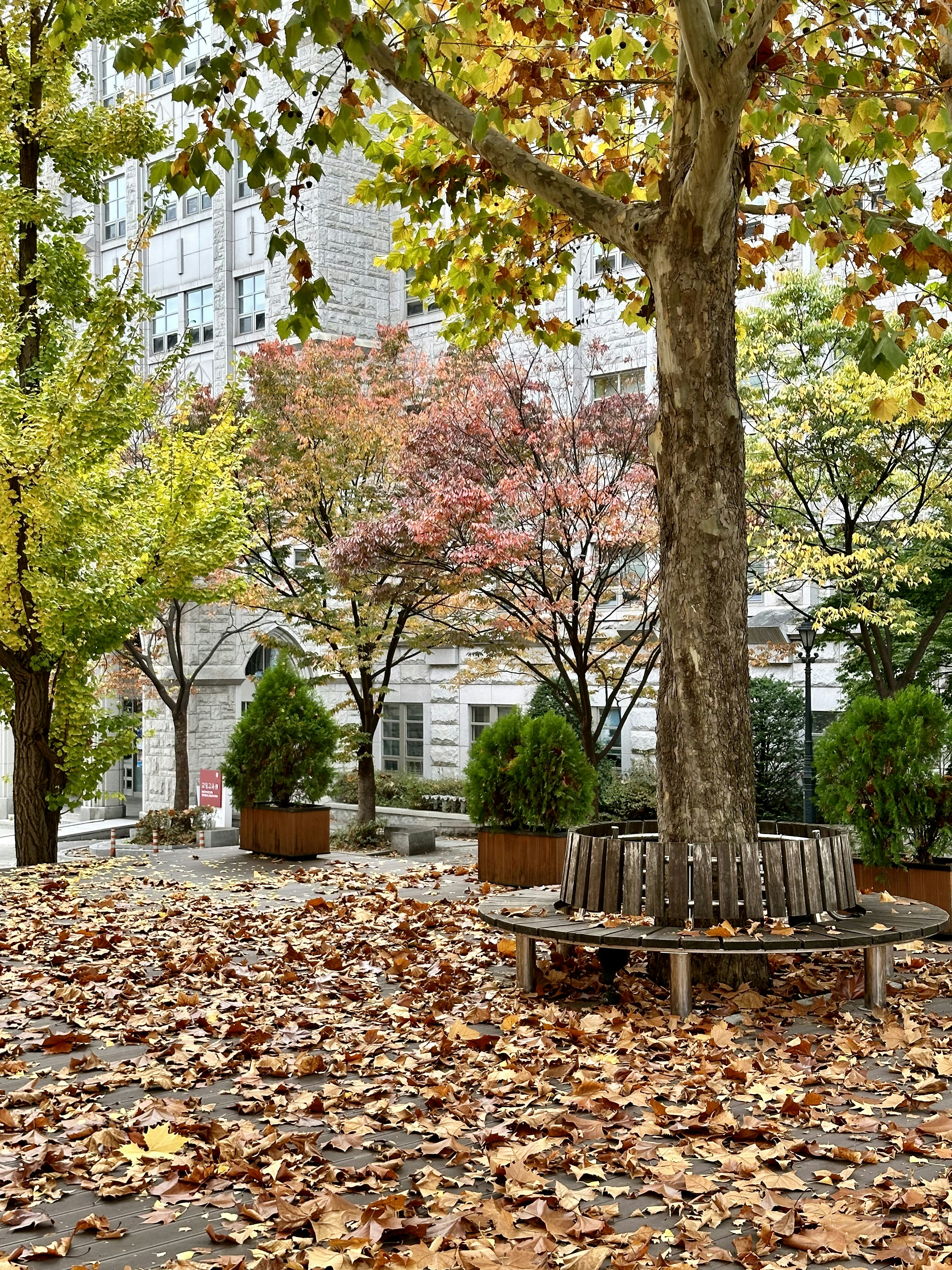 Photo by jinze1234599