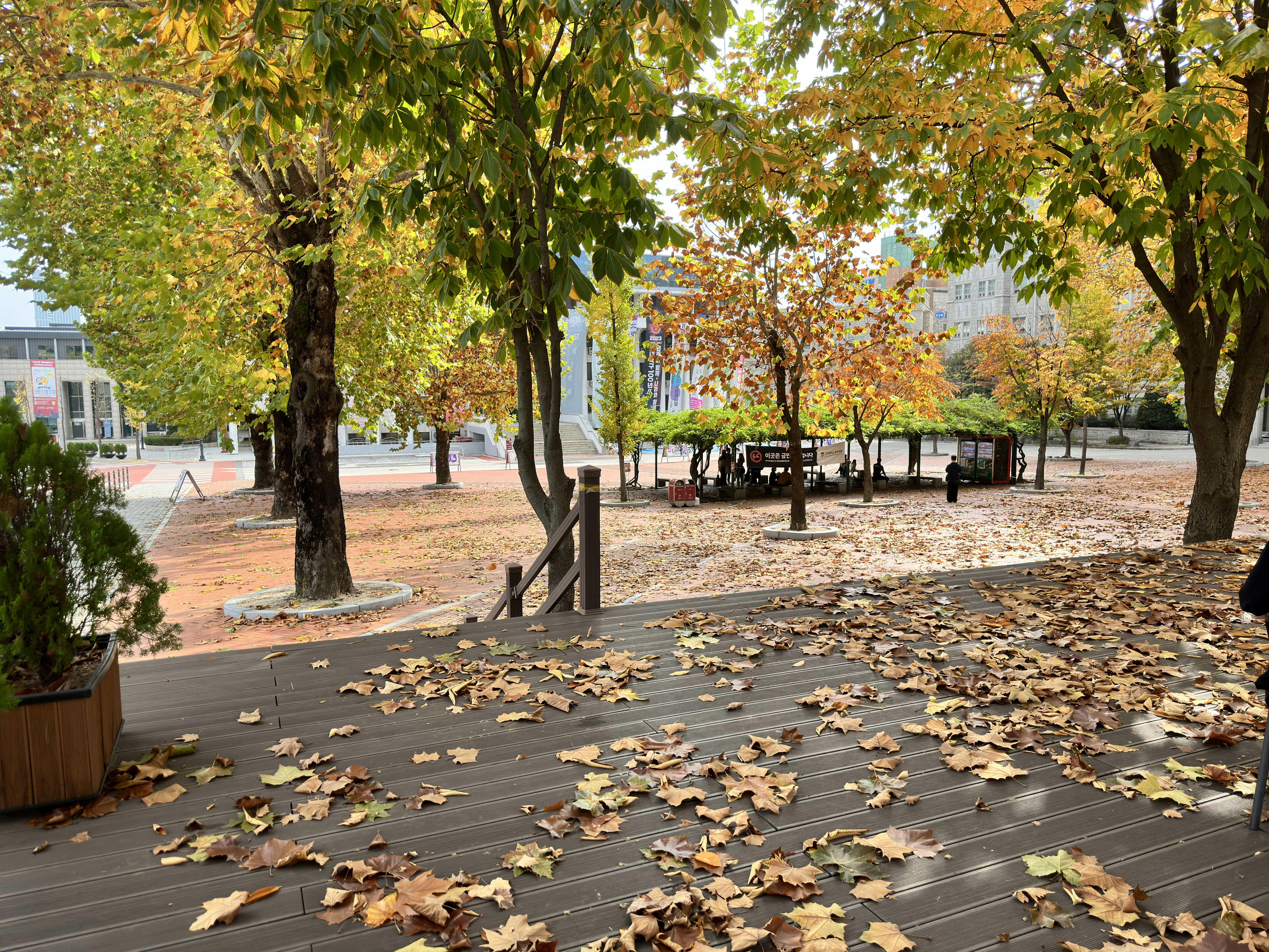 Photo by jinze1234599