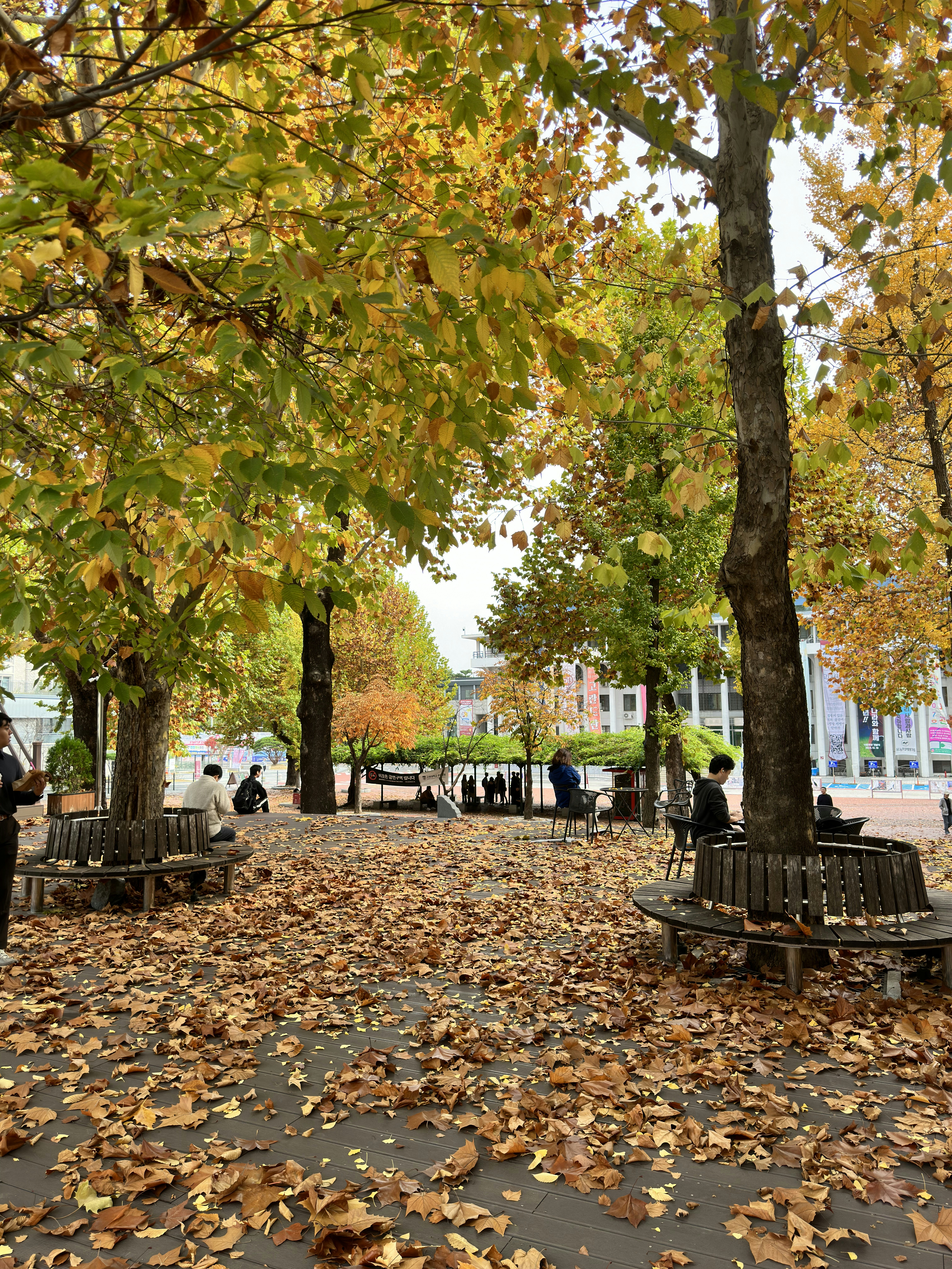 Photo by jinze1234599