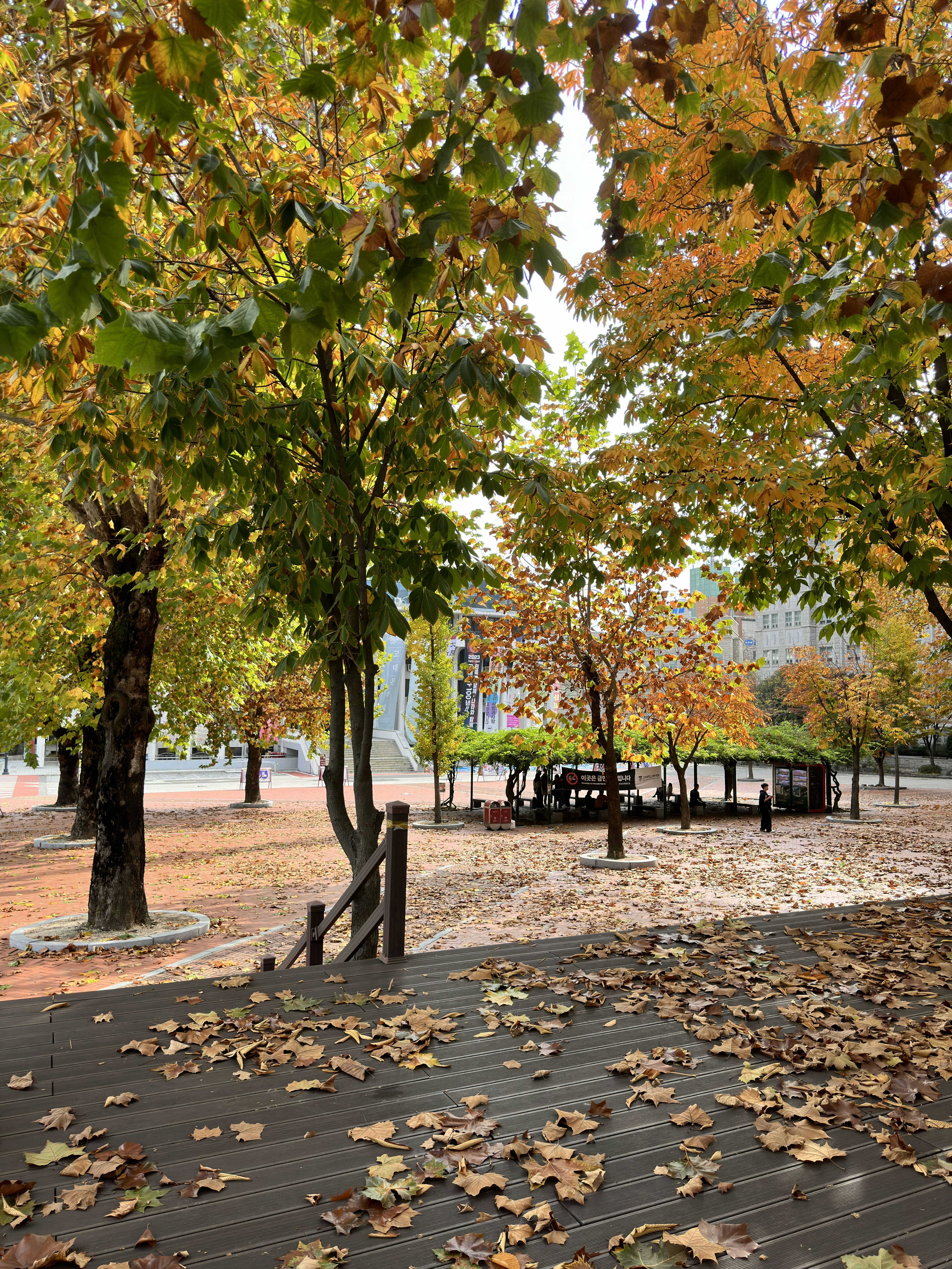 Photo by jinze1234599