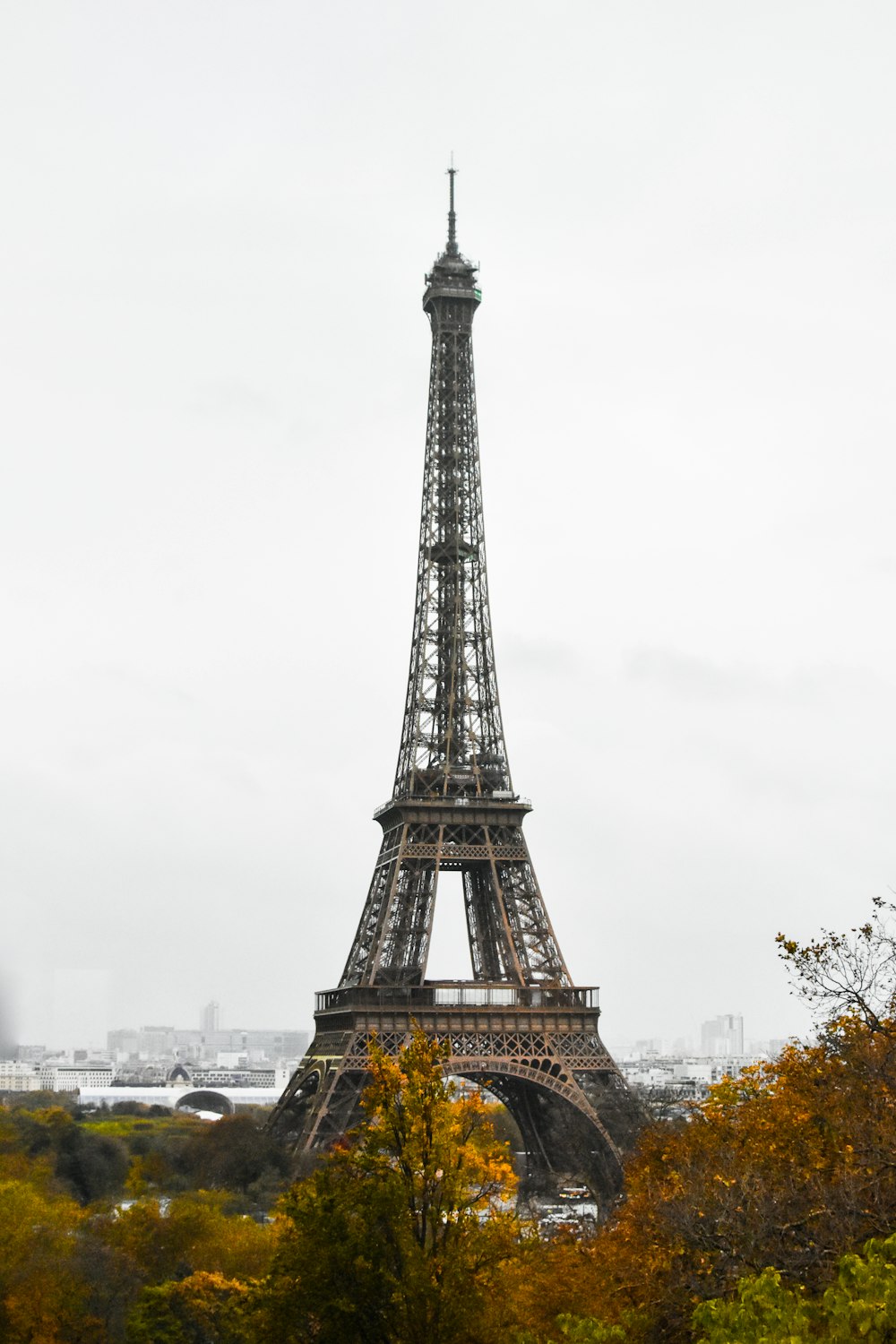 the eiffel tower towering over the city of paris