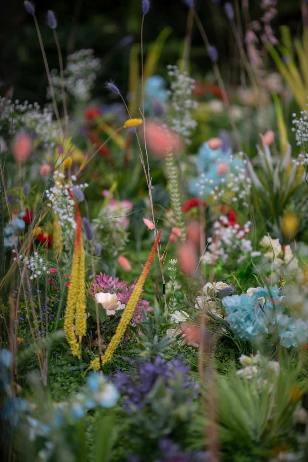 a bunch of flowers that are in the grass