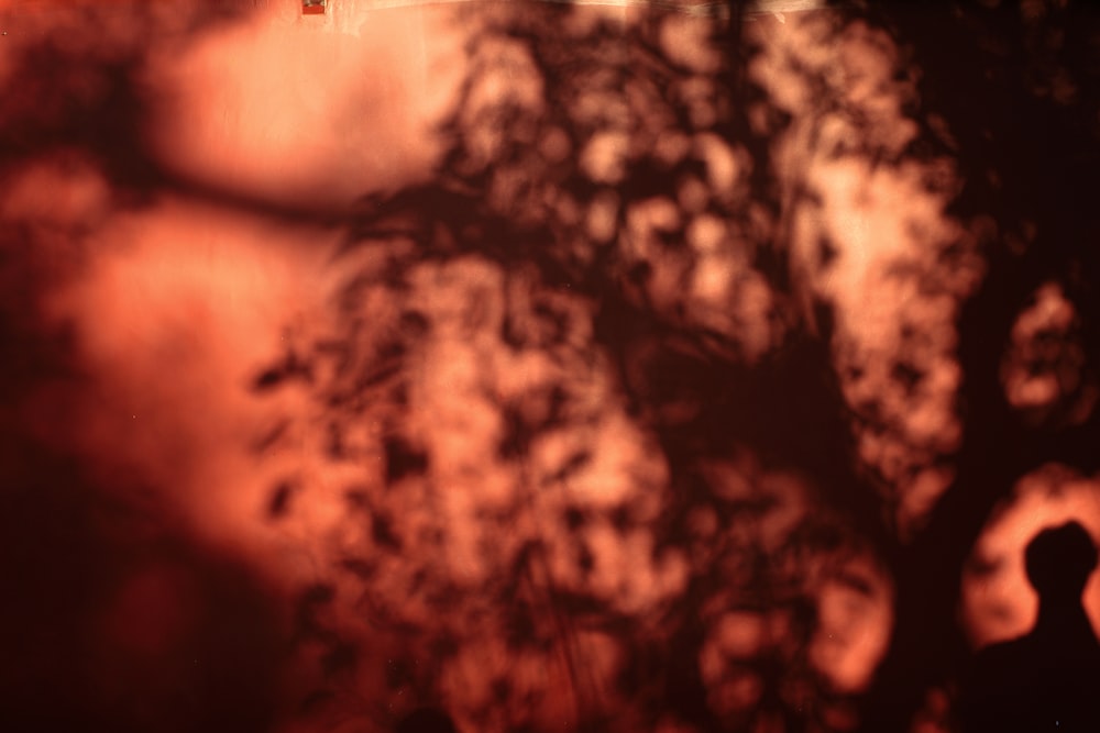 a shadow of a person standing in front of a tree