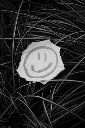 A piece of paper with a simple smiley face drawn on it rests on a bed of long, thin grass or plant leaves. The paper has a grid pattern, and the smiley face is depicted with two vertical lines for eyes and a curved line for a mouth.