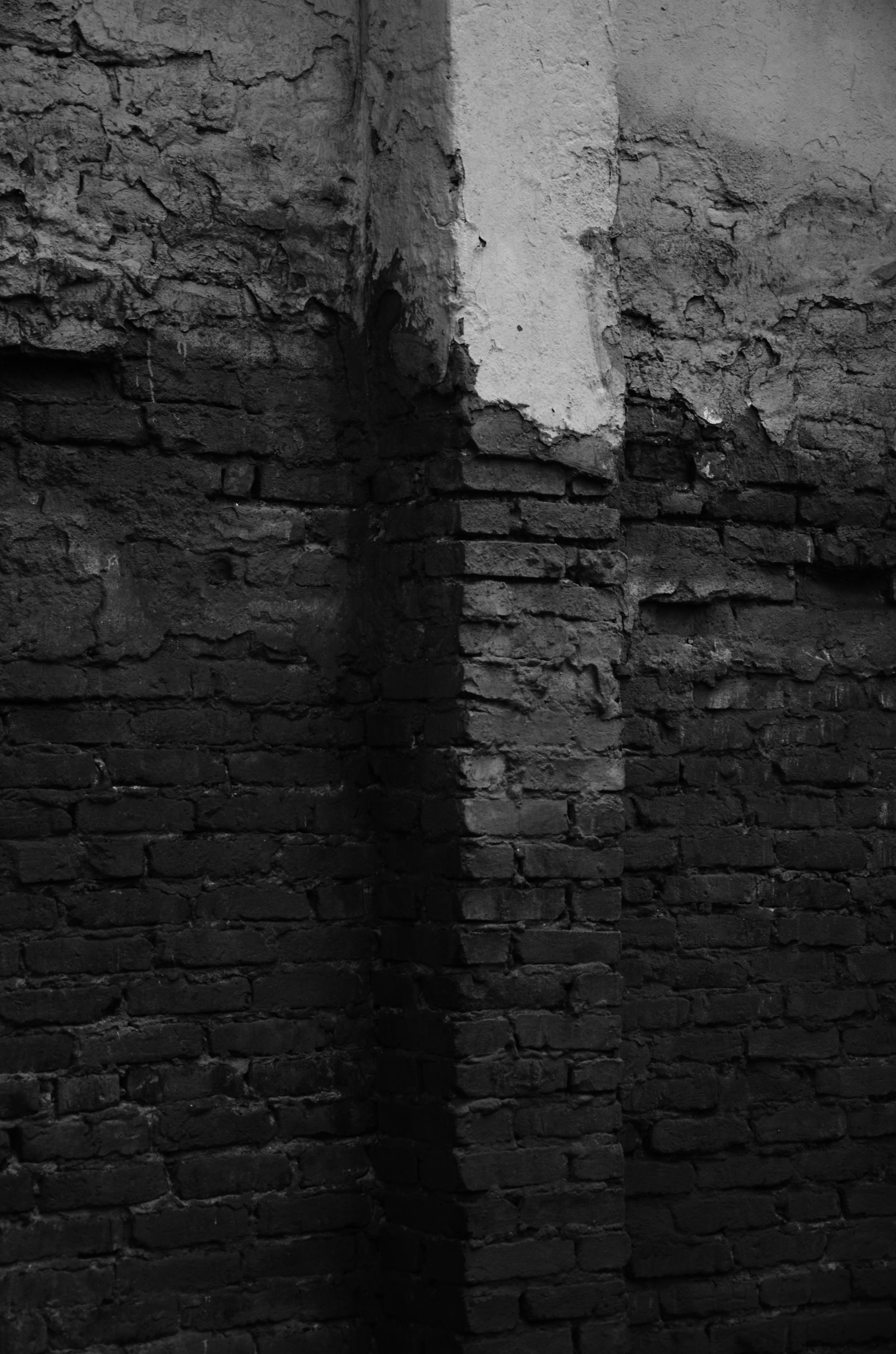 Photo by danila_balashkin