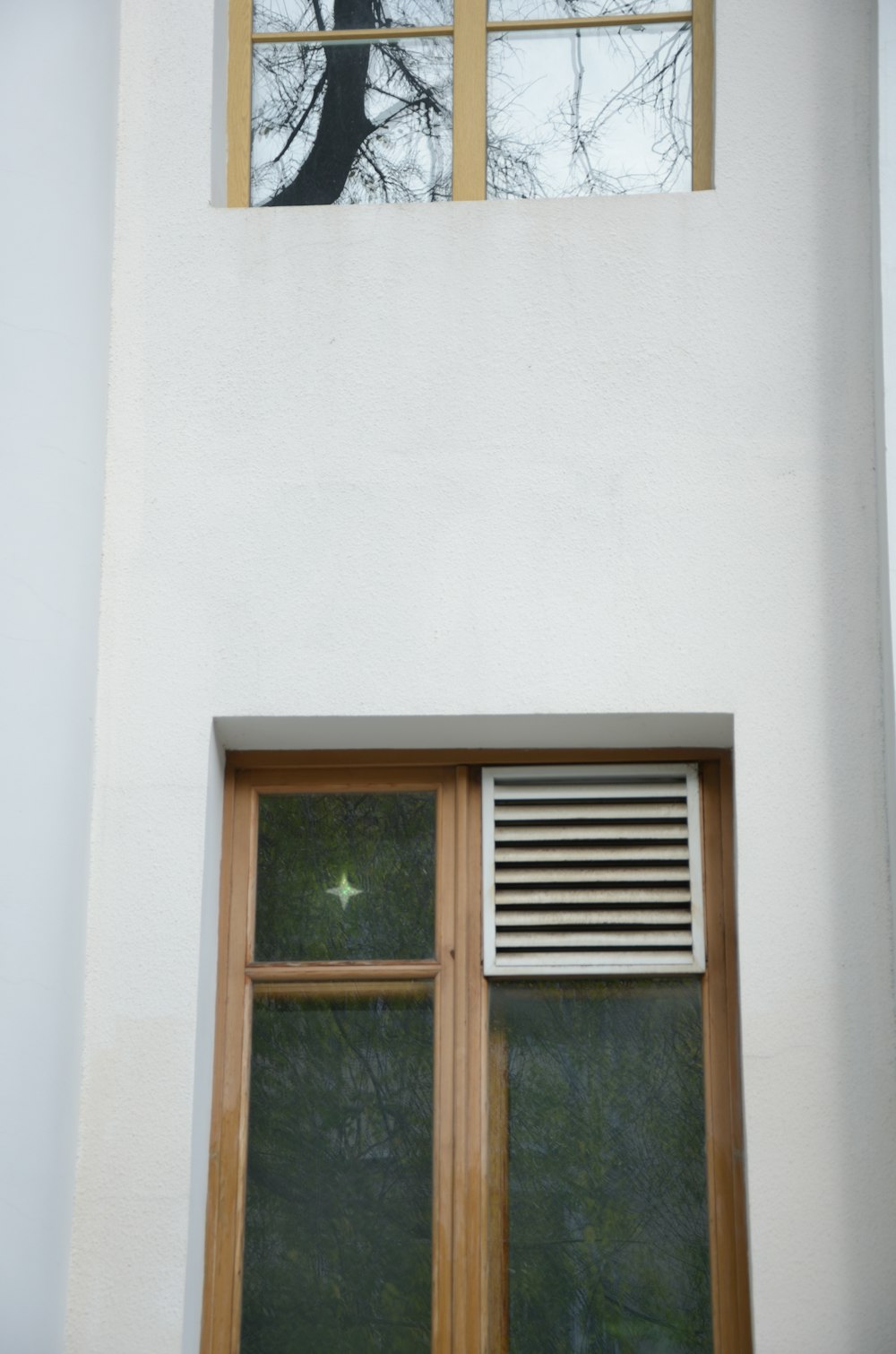 a cat sitting on a window sill in front of a window