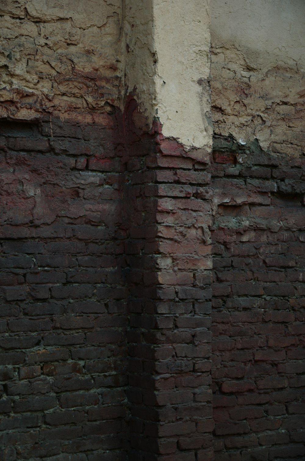 a black and white cat sitting on top of a brick wall