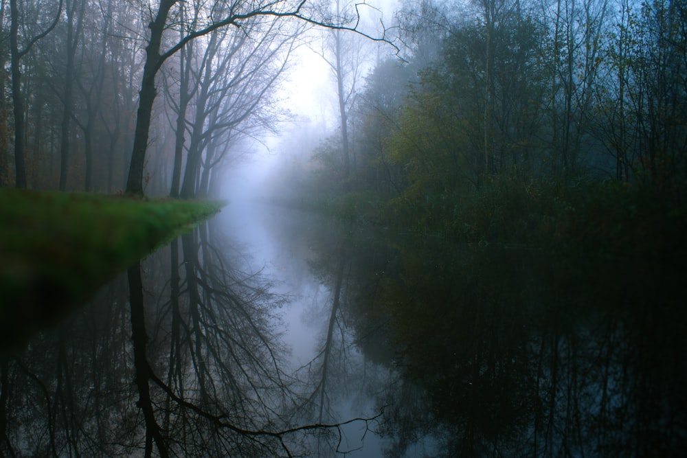 a body of water surrounded by trees on a foggy day