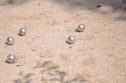 a group of balls sitting on top of a sandy ground