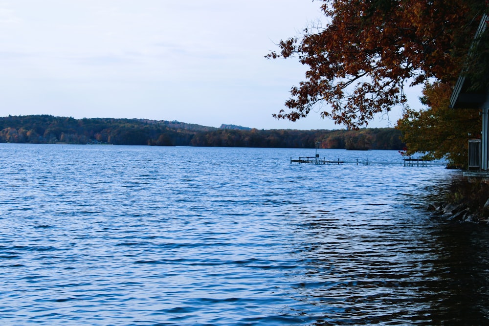 a house on a lake with a boat in the water