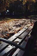 Quiet park bench in monochrome, surrounded by fallen leaves and soft light.