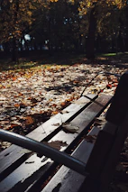A peaceful park bench surrounded by autumn leaves, inviting reflection.