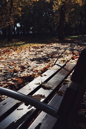 A peaceful park bench where stories are inspired and recorded.