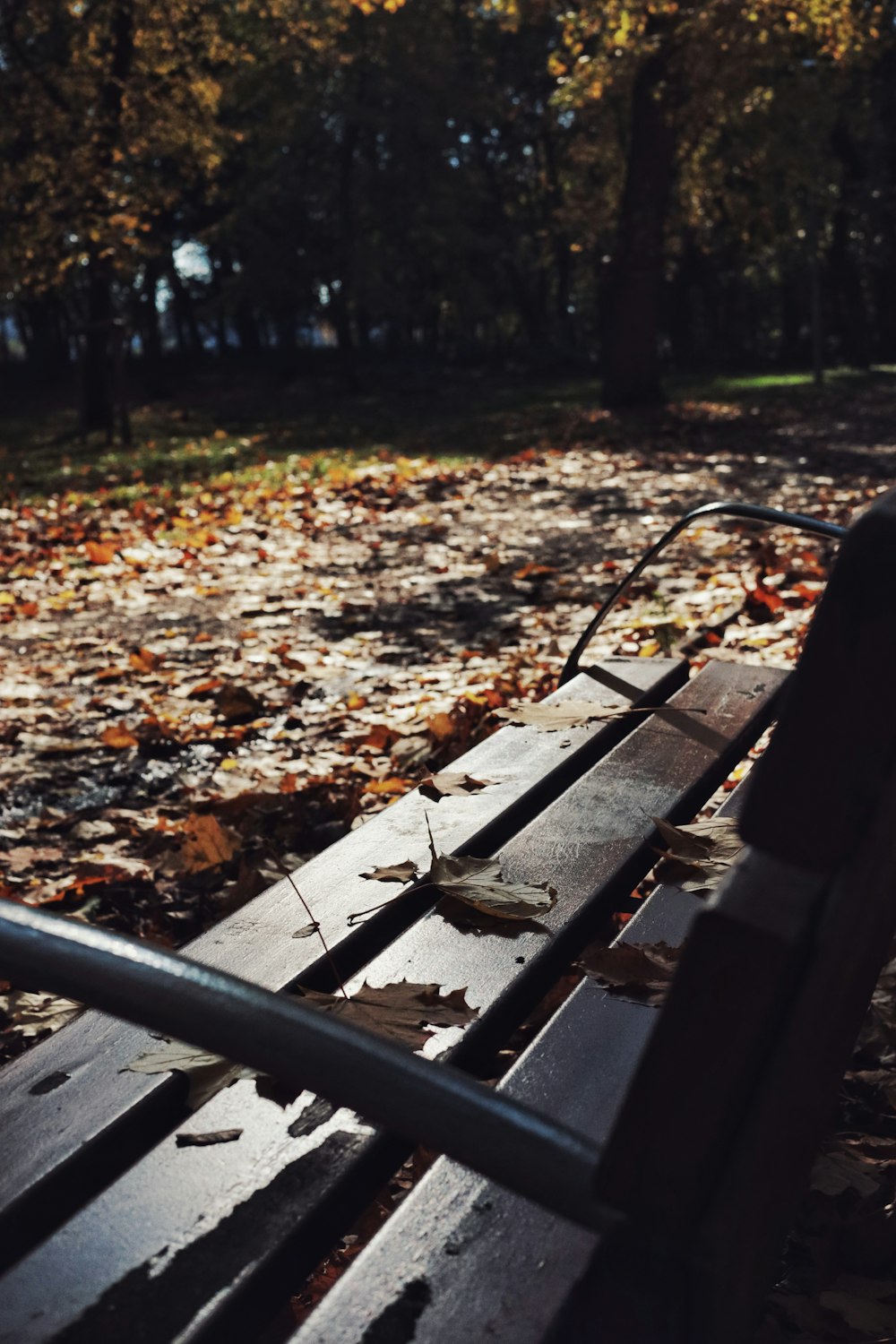 um banco de parque sentado no meio de um parque coberto de folhas