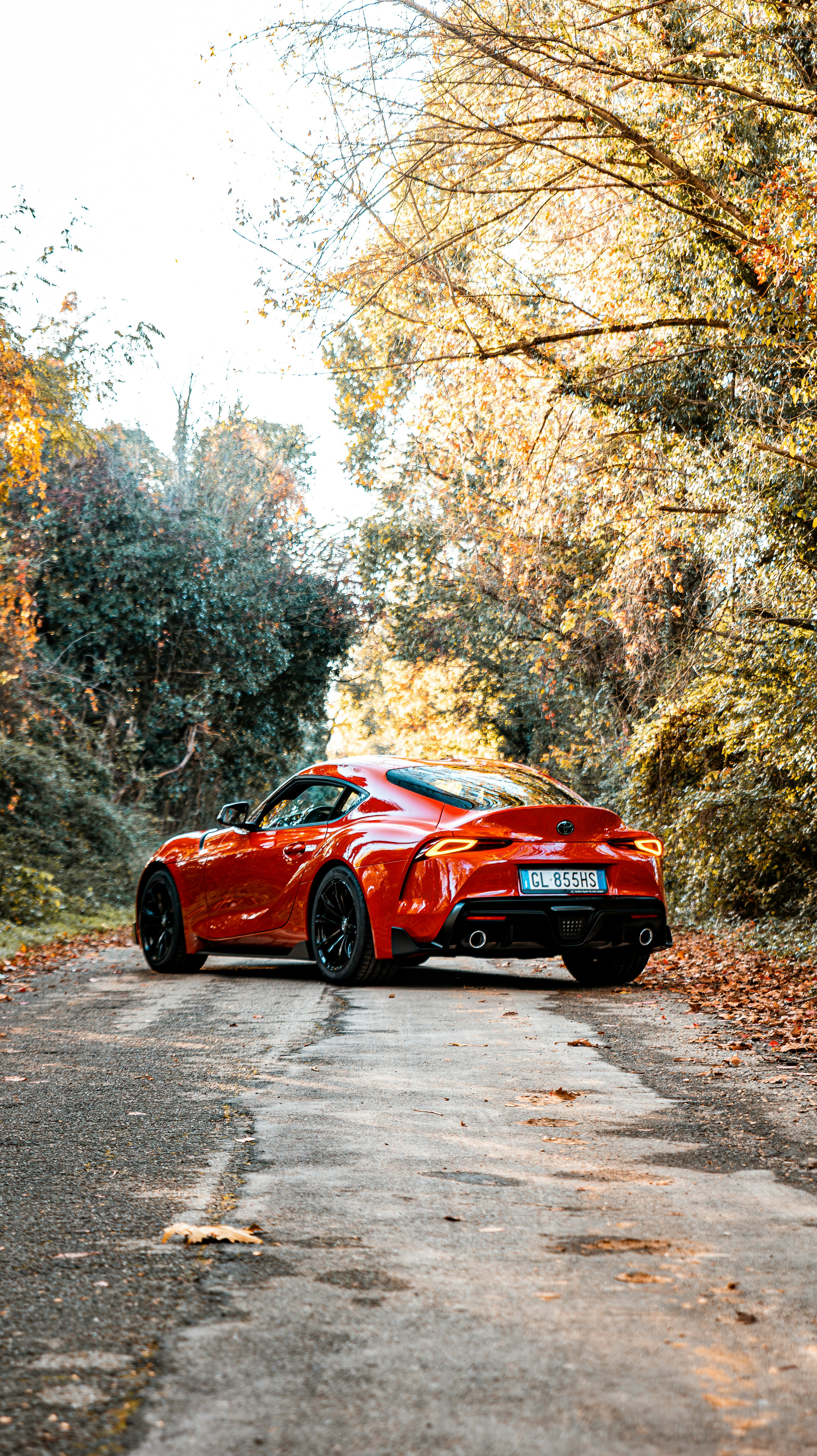 Photo by abphoto_dot_it