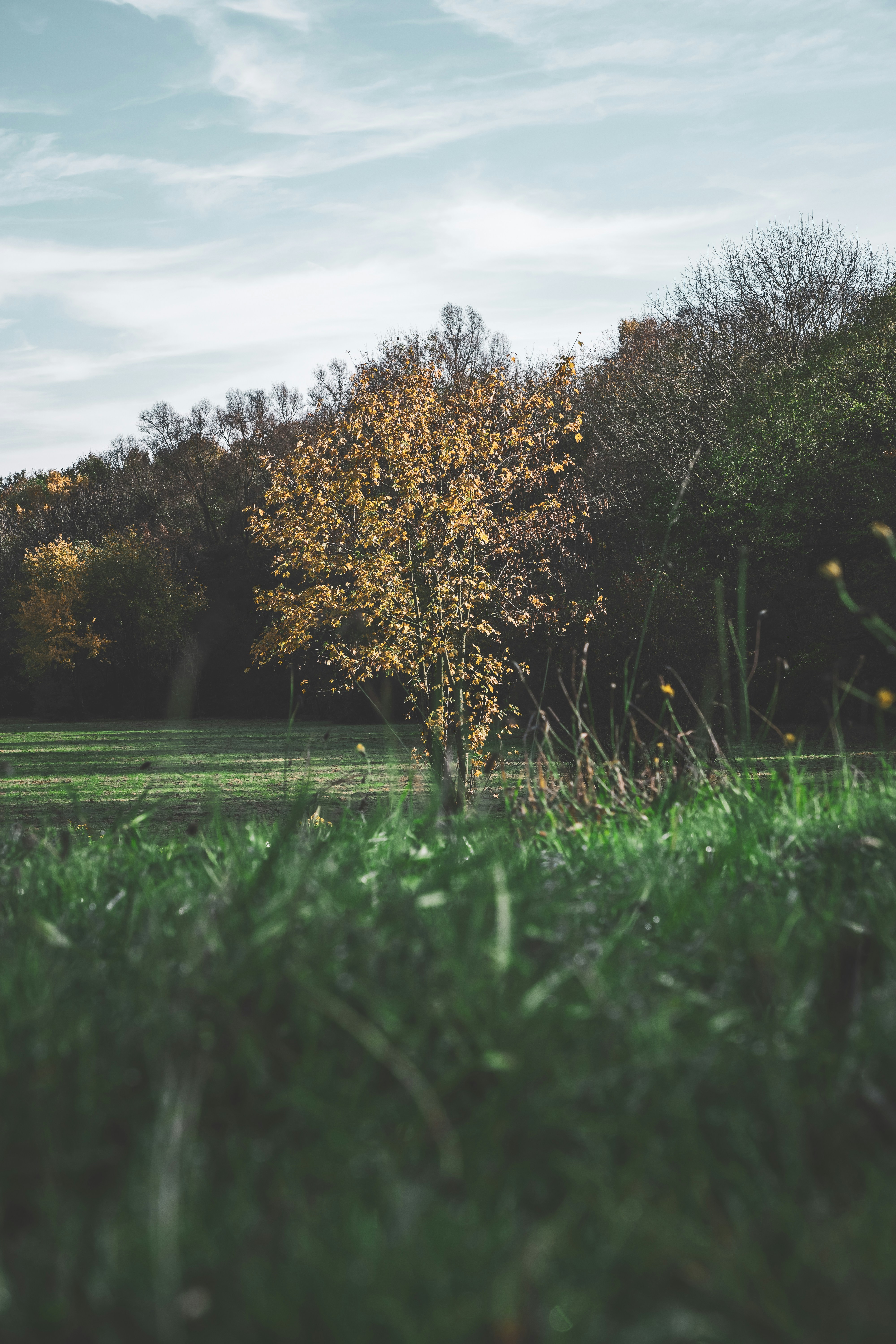 Photo by robertschwarz