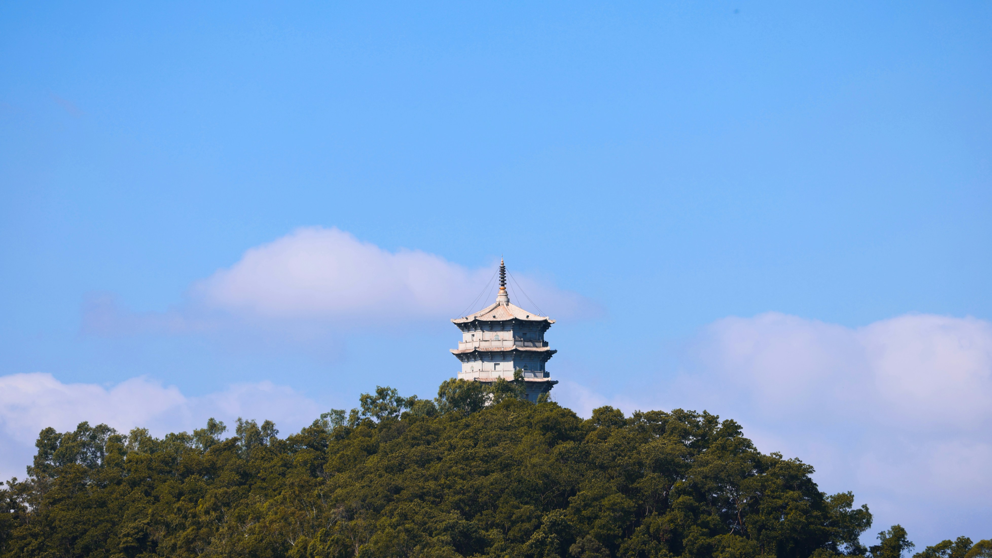 Photo by dickenslin76