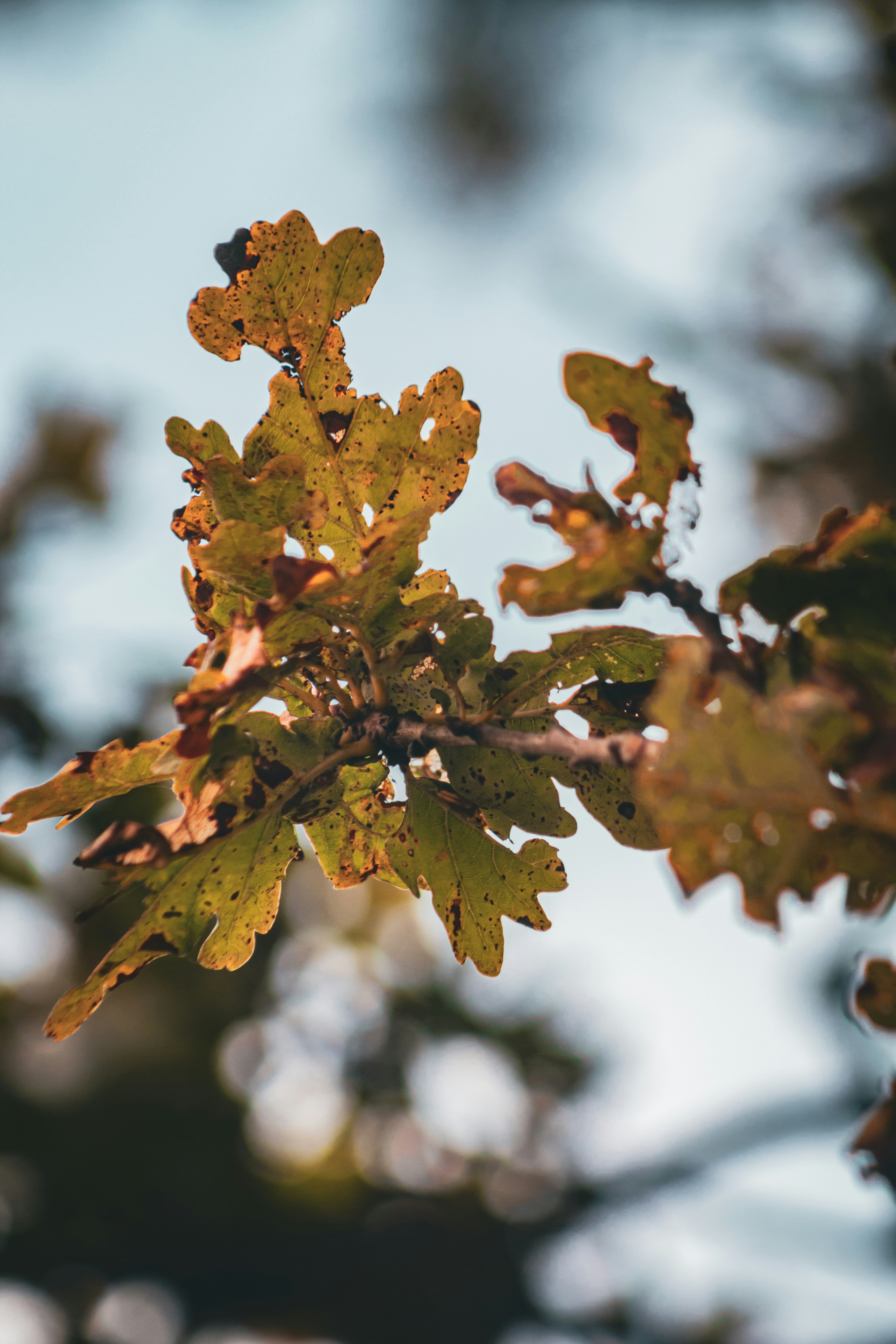 Photo by _priyank007_