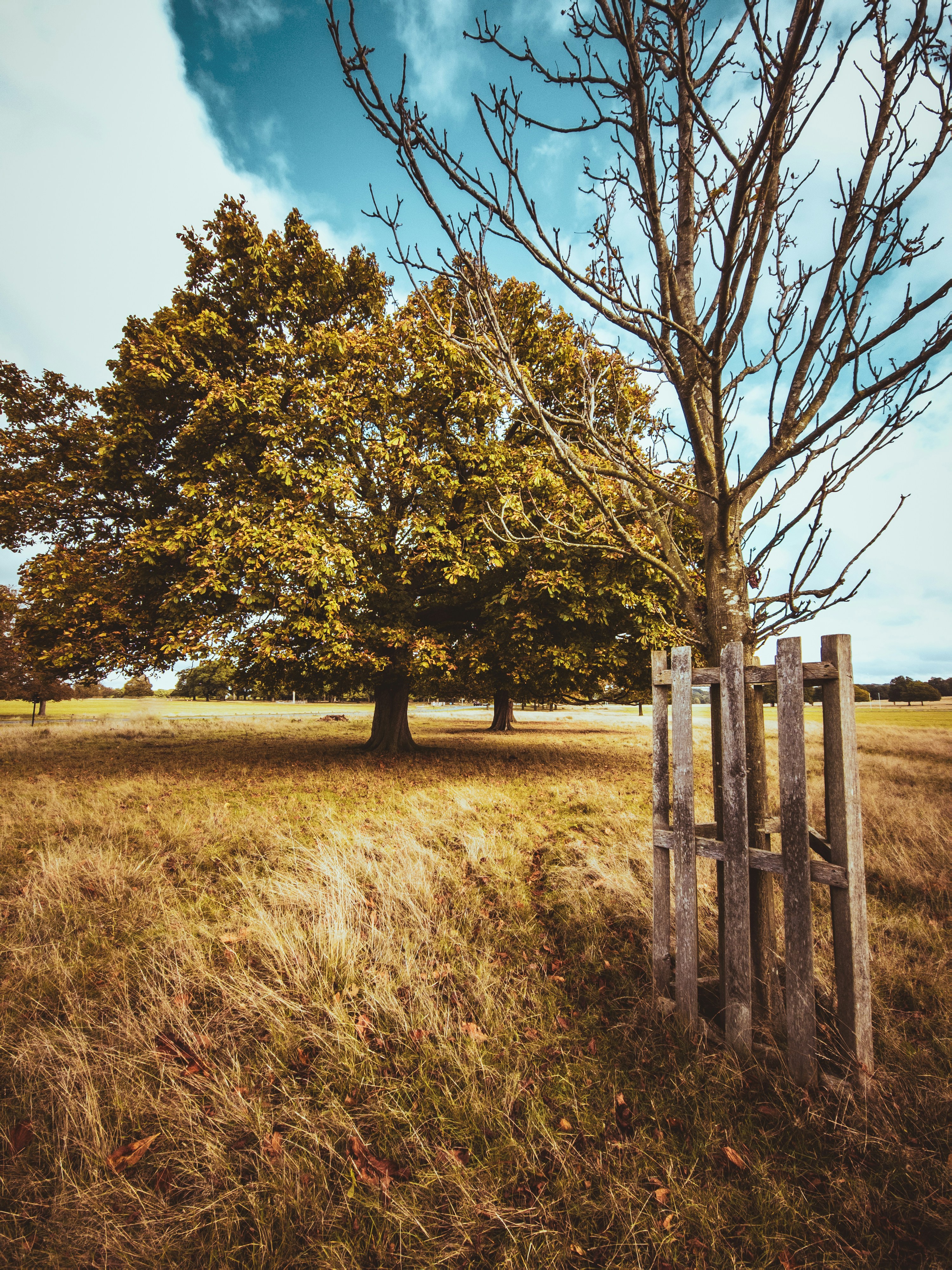 Photo by _priyank007_