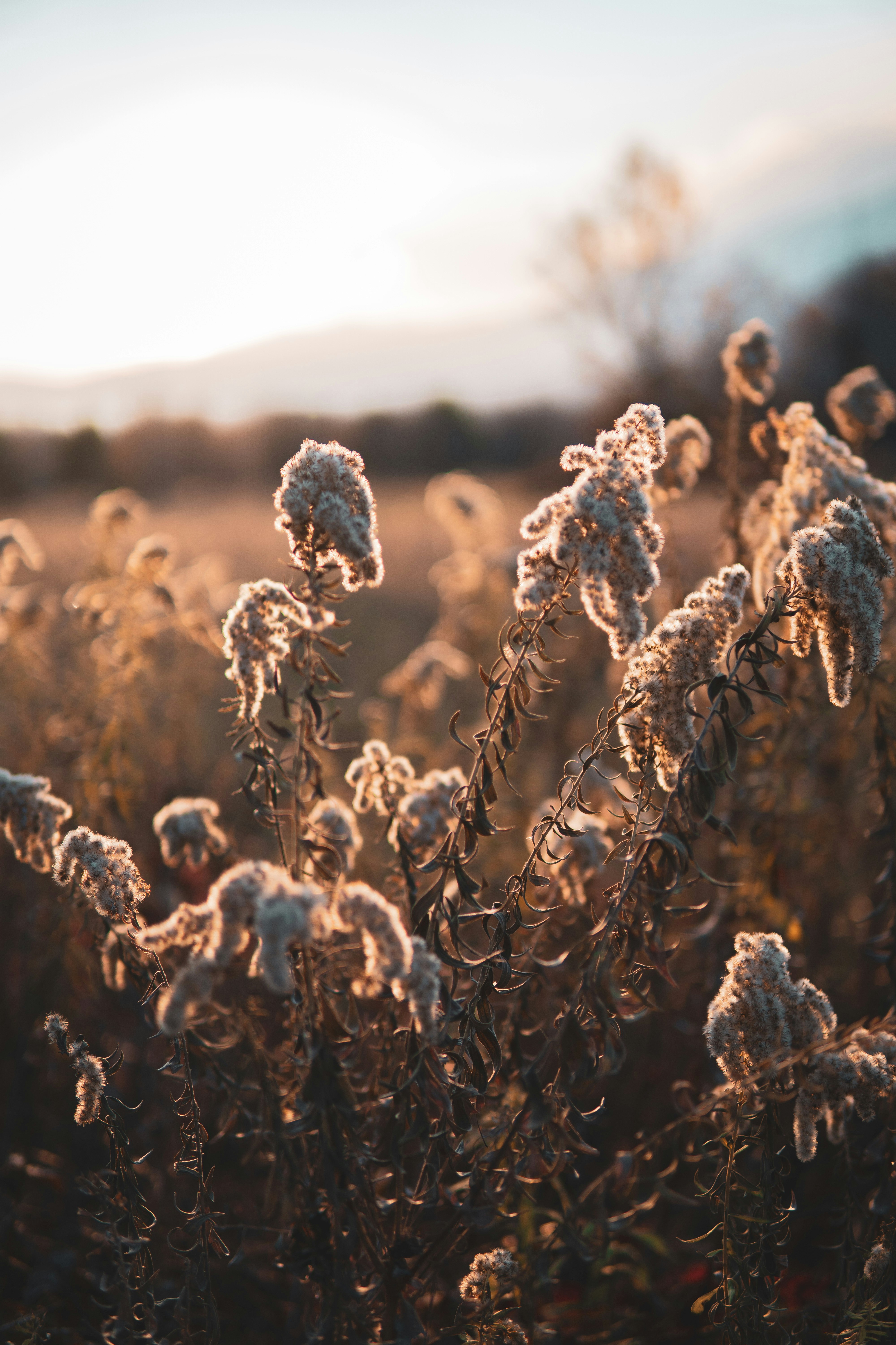 Photo by keepitchassephotography