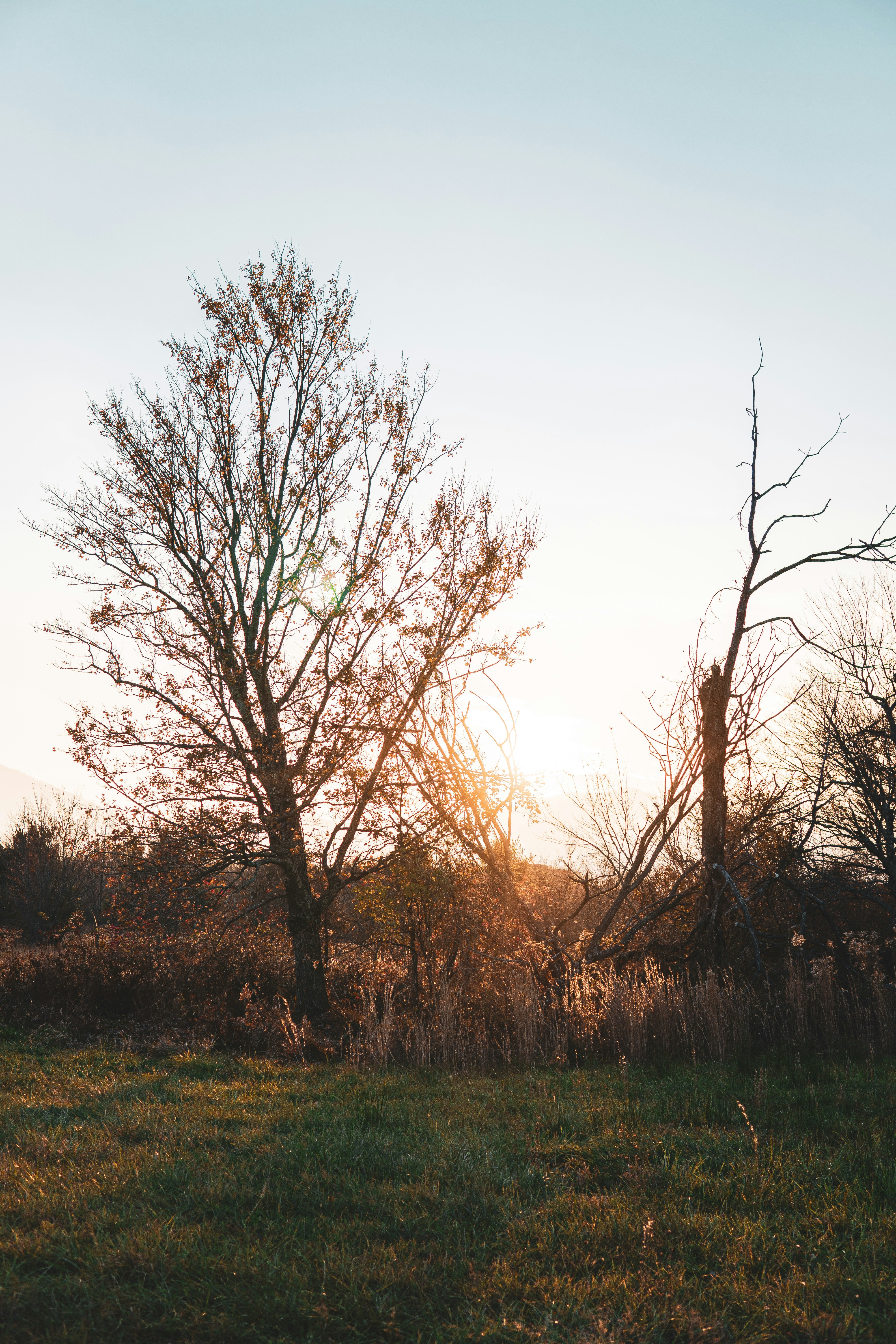 Photo by keepitchassephotography