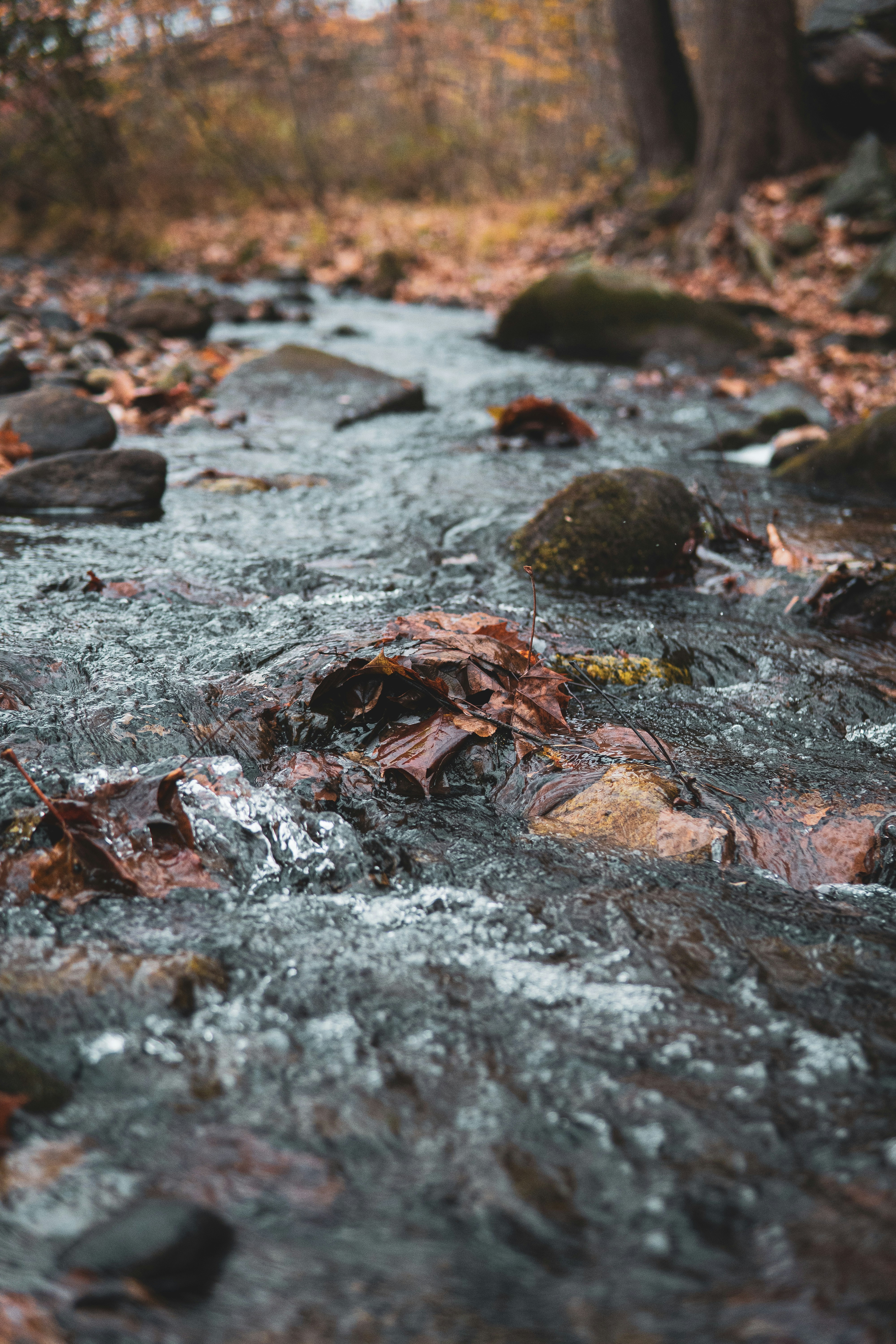 Photo by keepitchassephotography